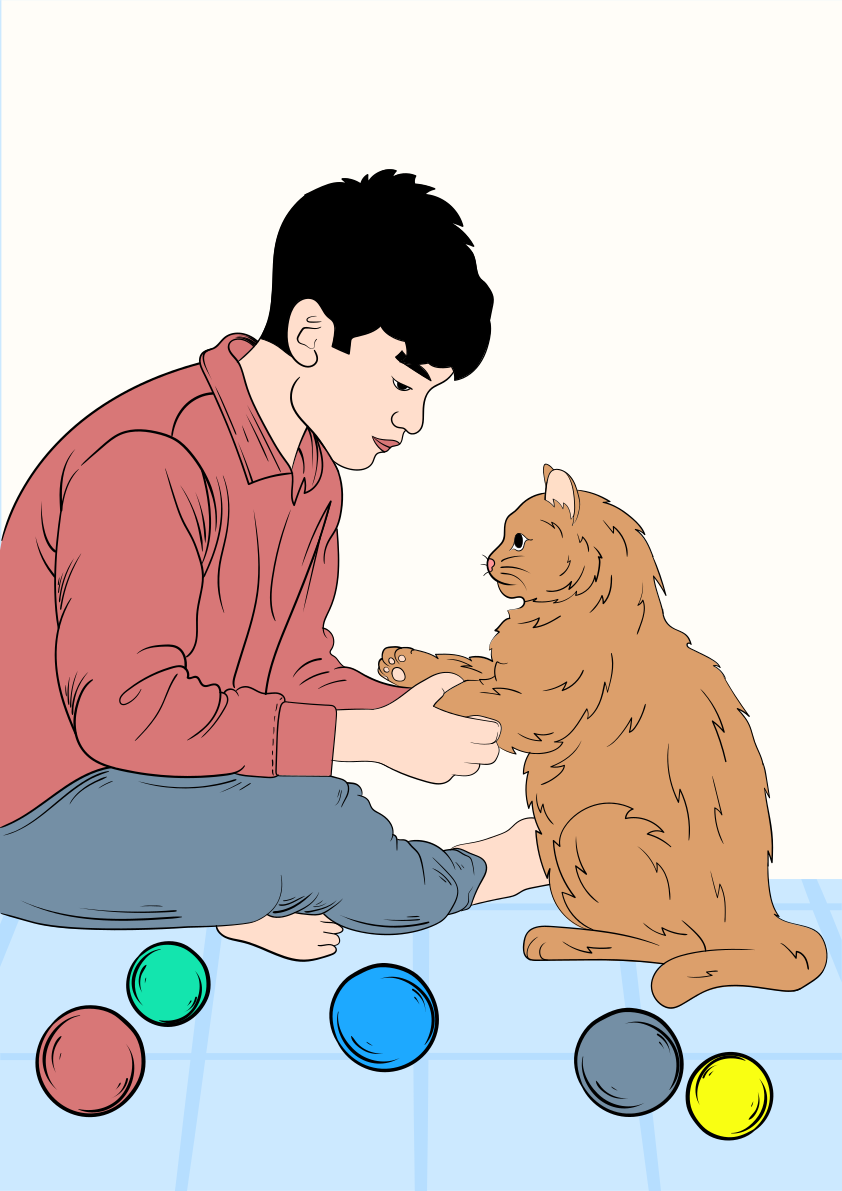 A boy playing with a cat on the floor