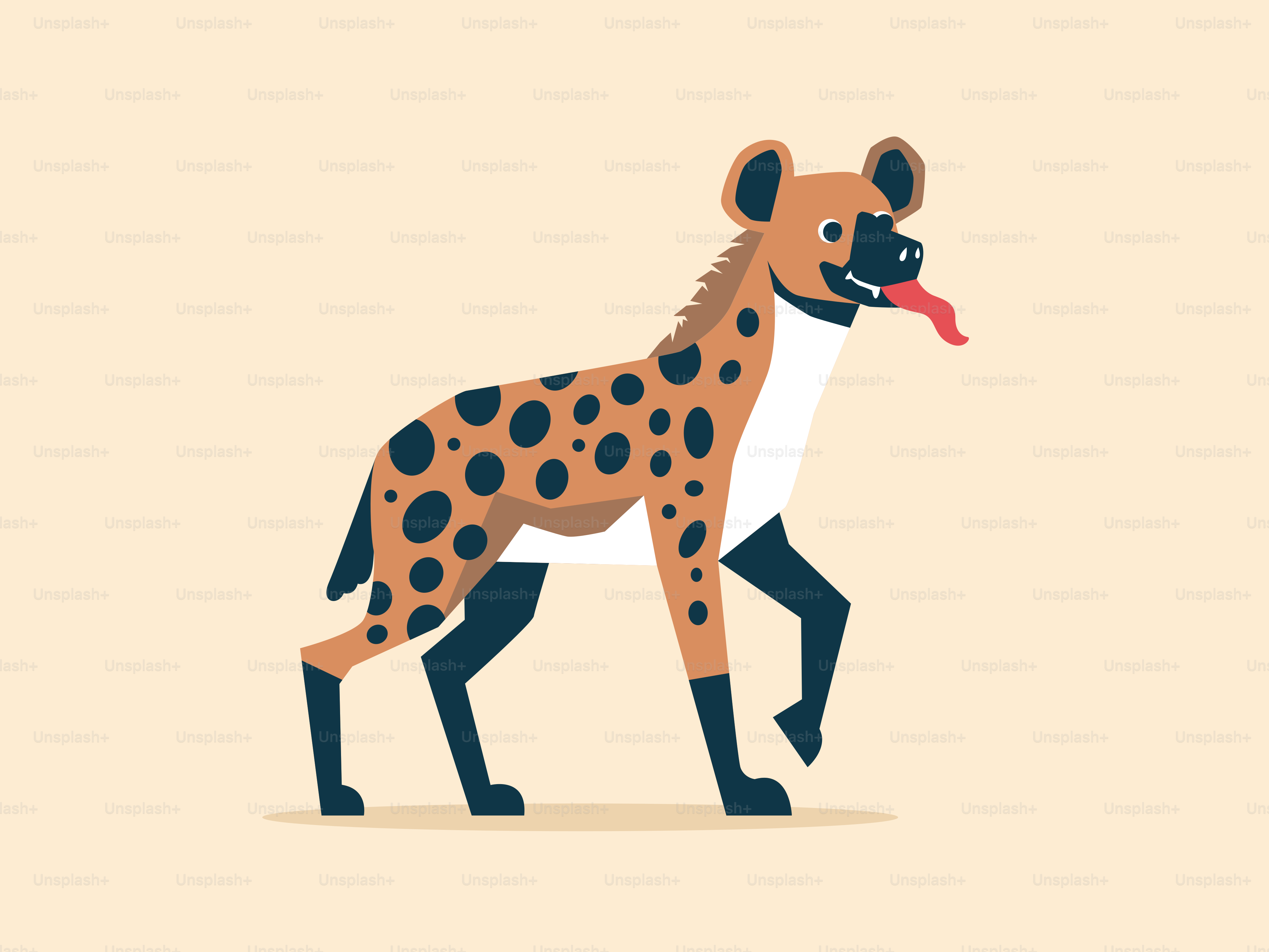 Une hyène tachetée avec une longue langue