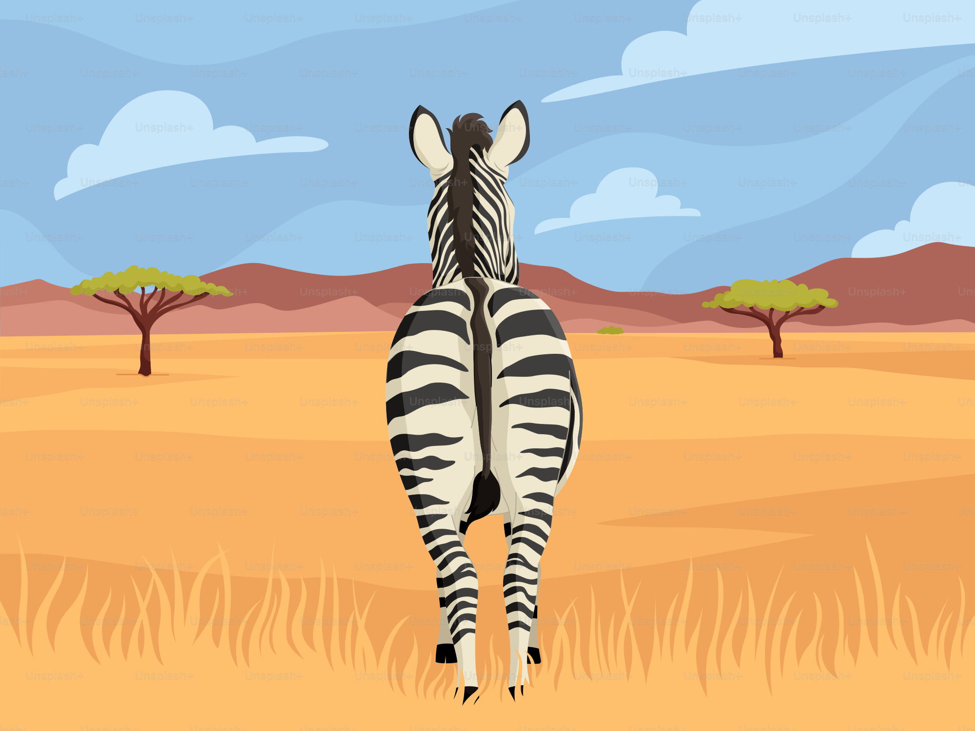 A zebra standing in the middle of a desert