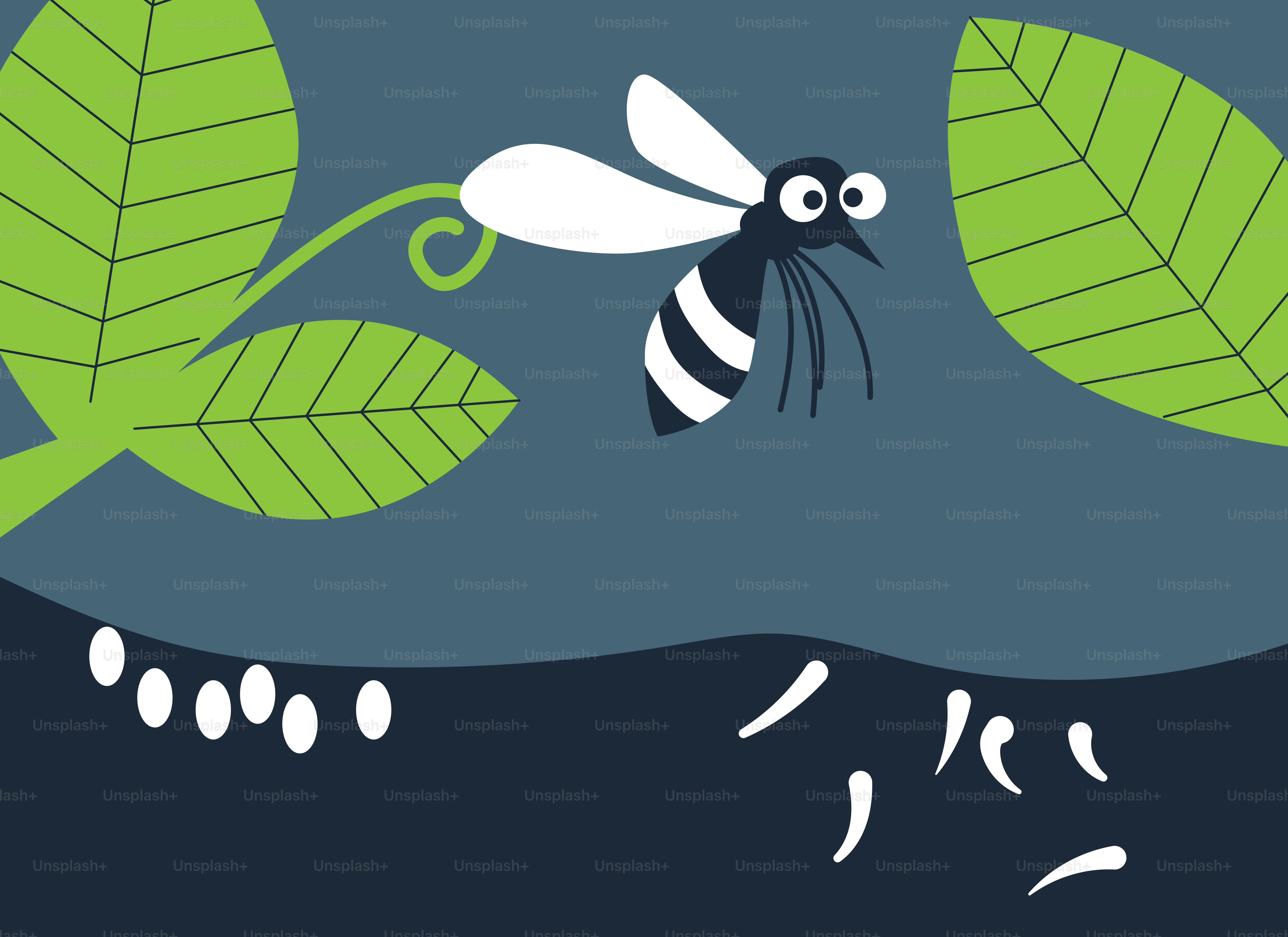 A picture of a bee on a leaf
