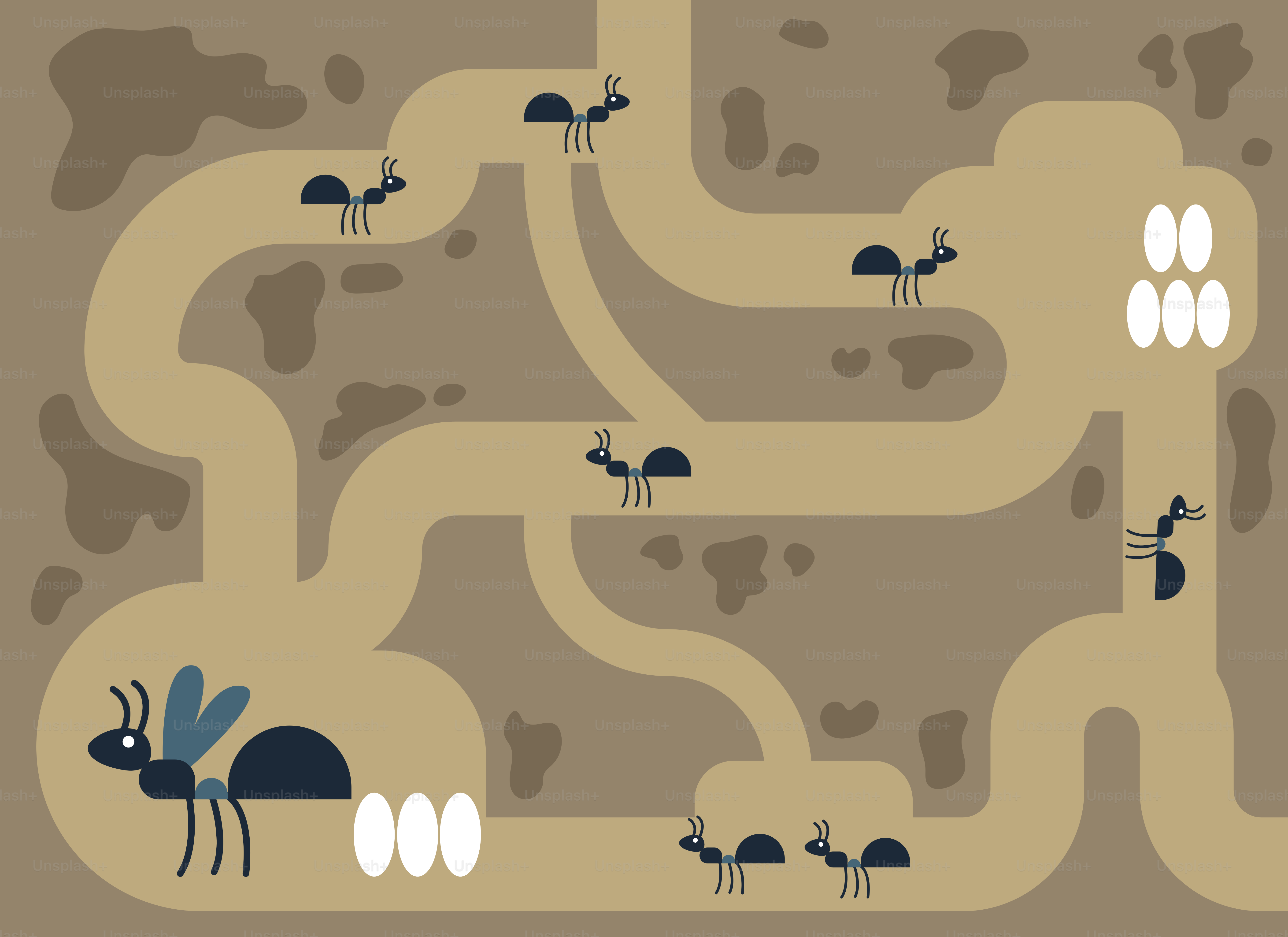 A maze game with a bug crawling in the middle of it