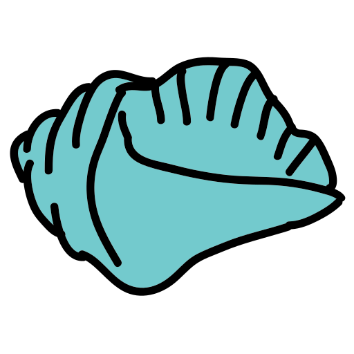 A blue scallop shell on a white background