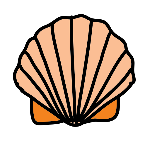 An orange and black shell on a white background
