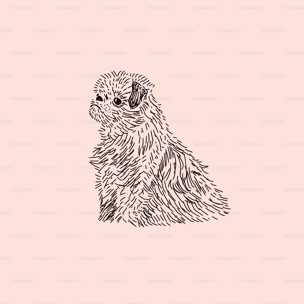 A drawing of a dog on a pink background