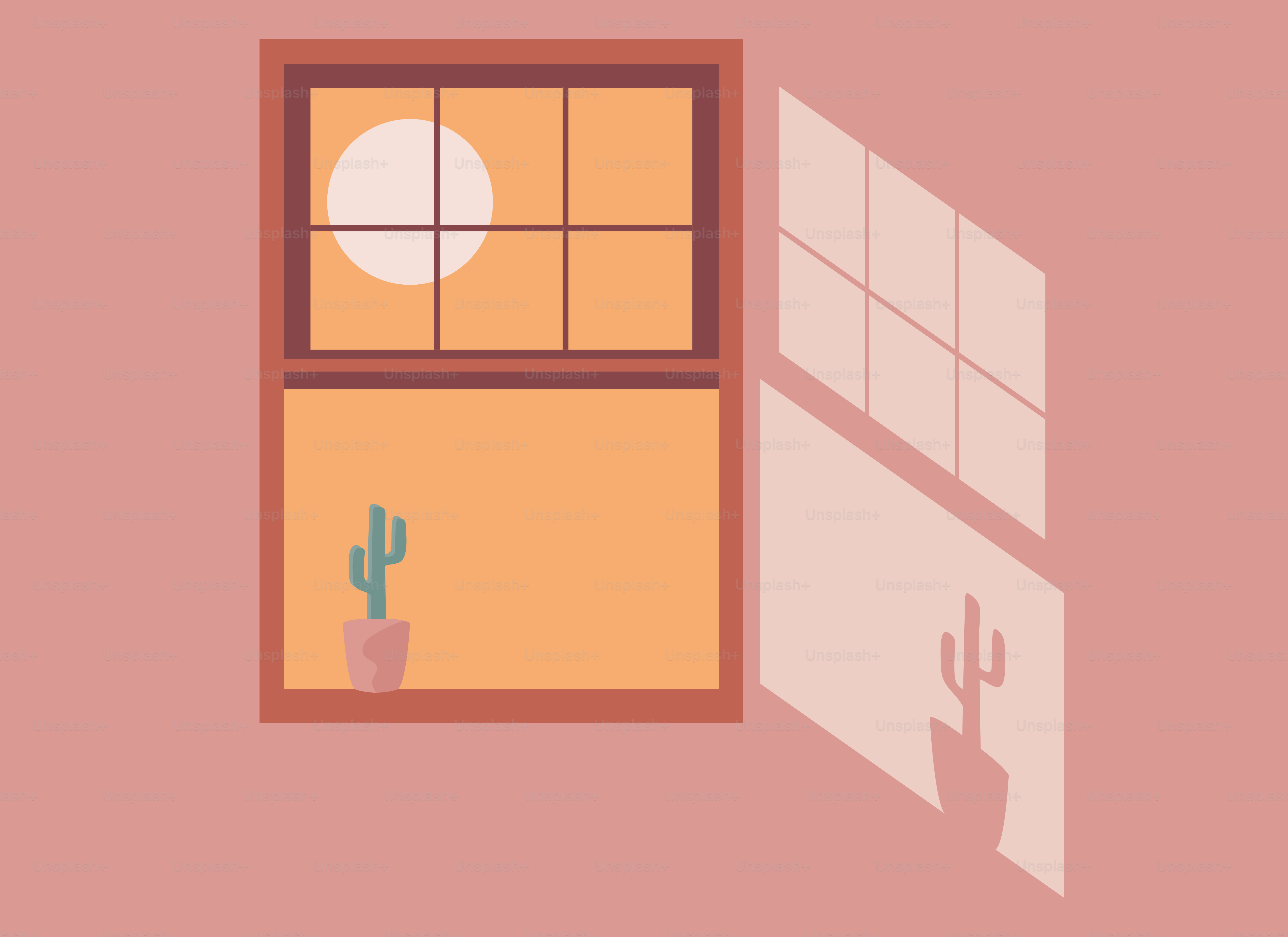 A picture of a window with a cactus in it
