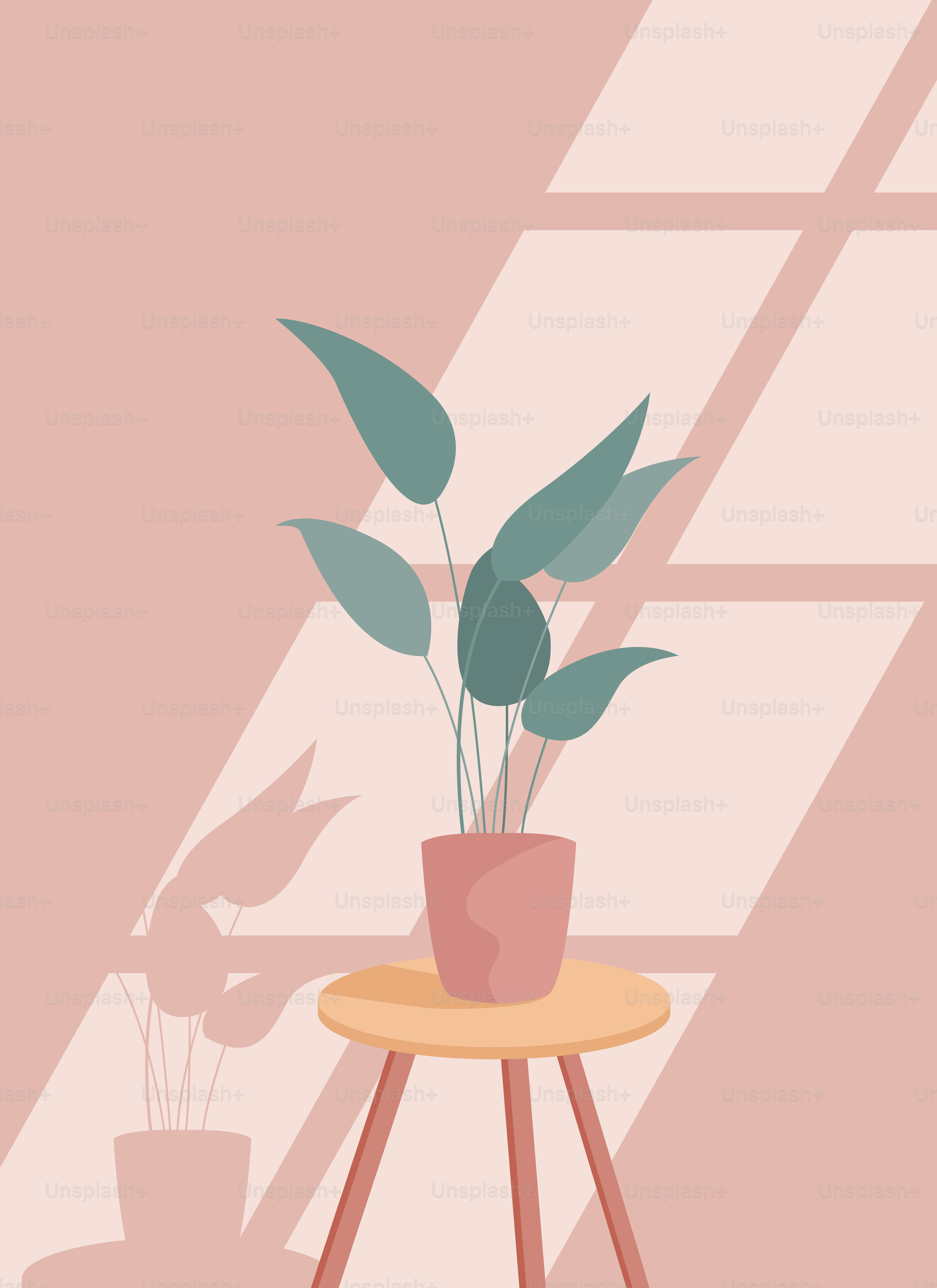 A potted plant sitting on a table next to a window