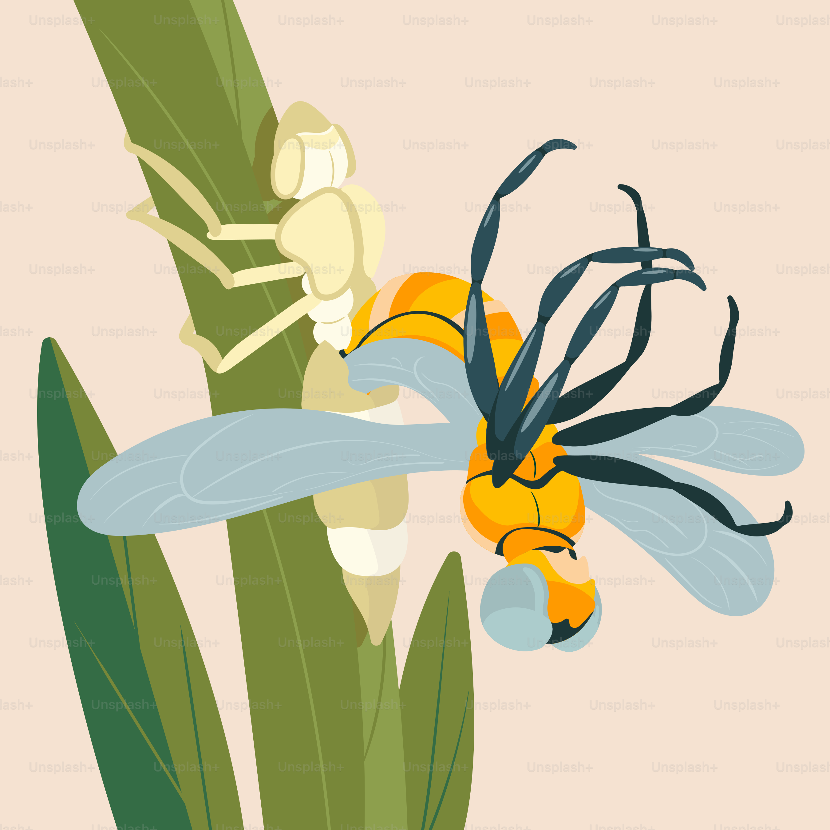 A picture of a flower with a bug on it