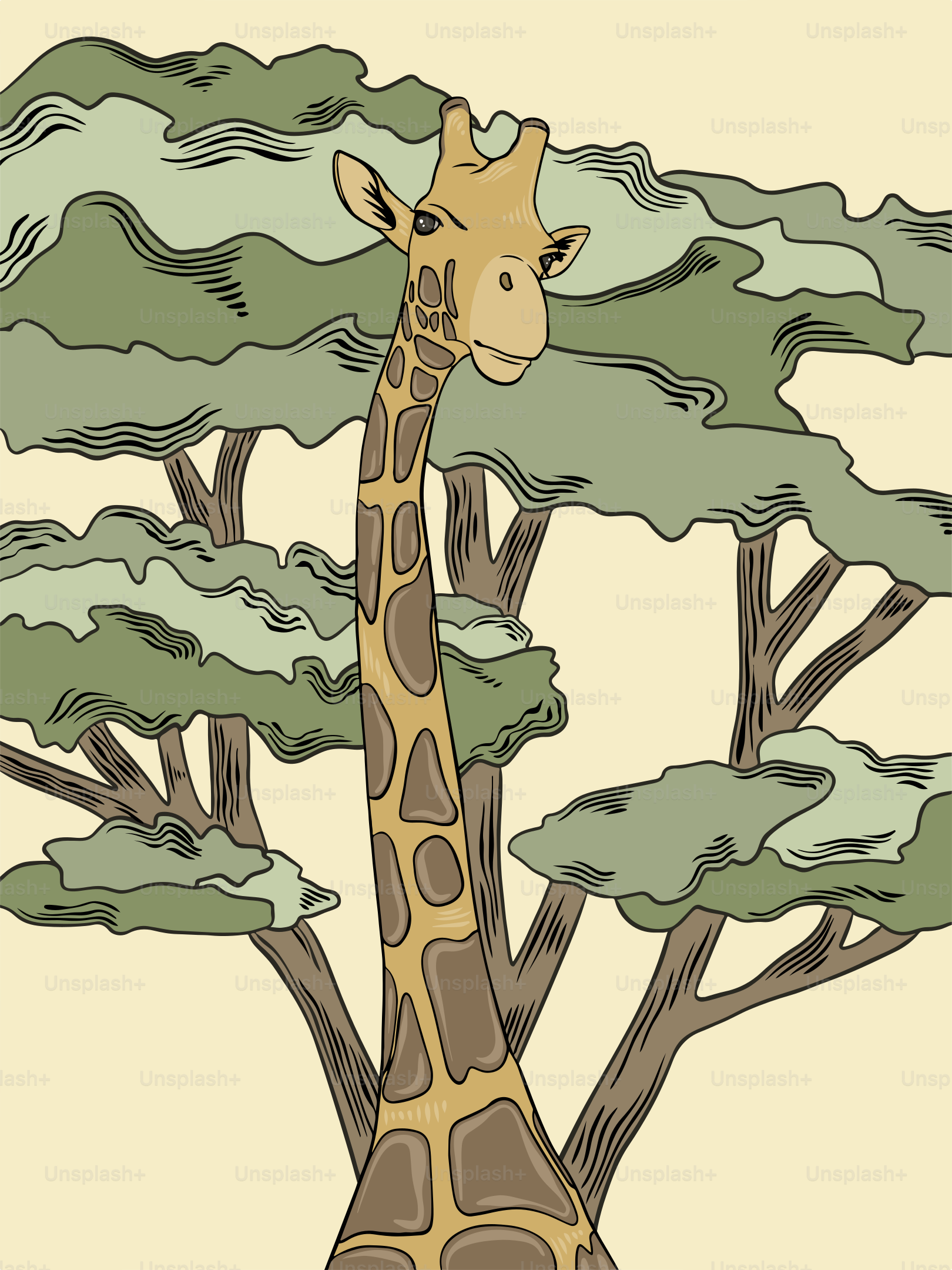 girafa, safari, áfrica, mundo animal, pescoço, mamífero, cabeça, manchas,  retrato, chifres | Hippopx, image size:3000x4000