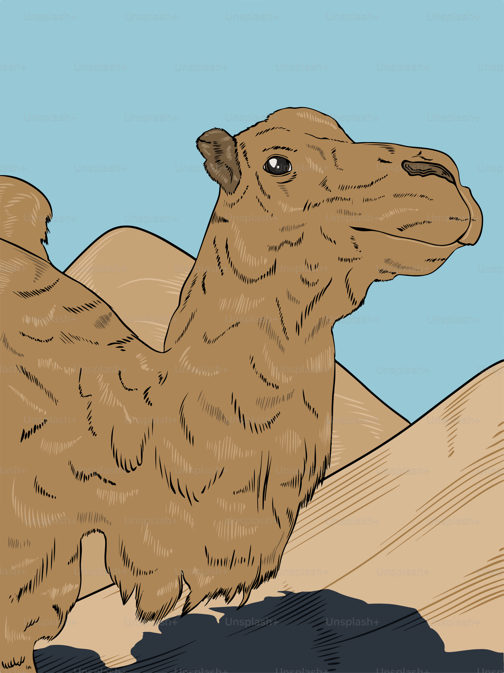 A drawing of a camel in the desert