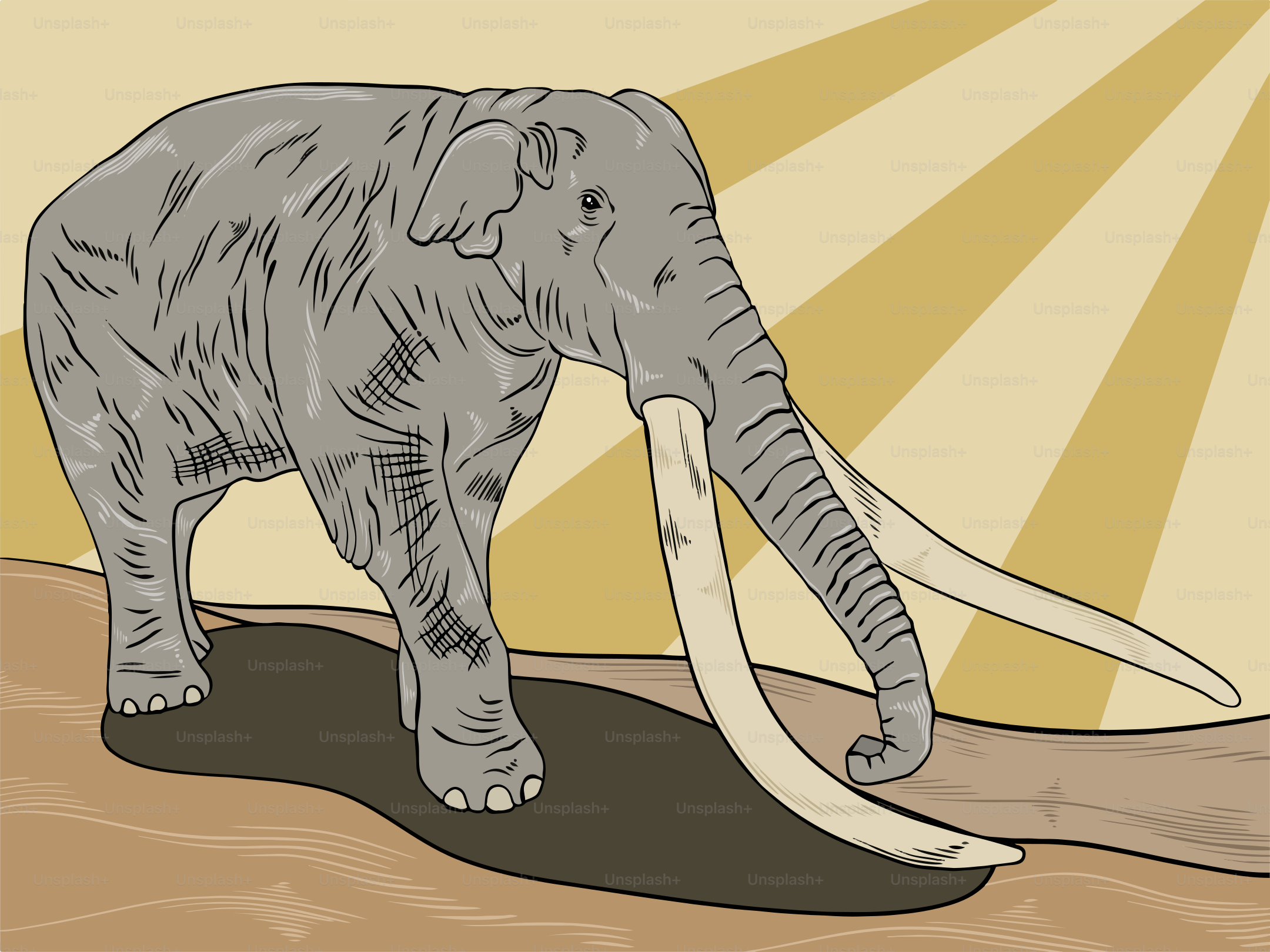 Eine Zeichnung eines Elefanten auf einem Erdboden