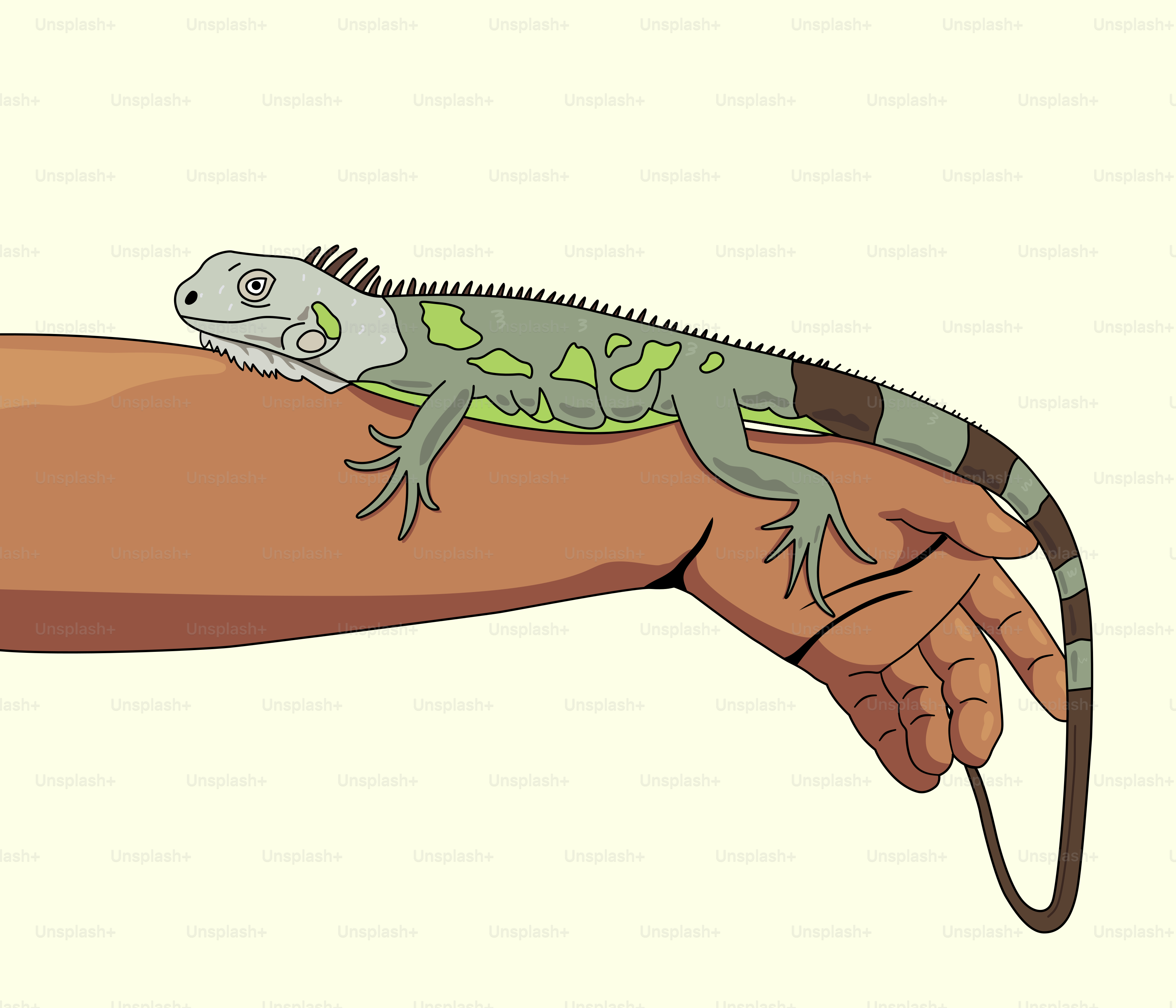 A lizard sitting on the arm of a person