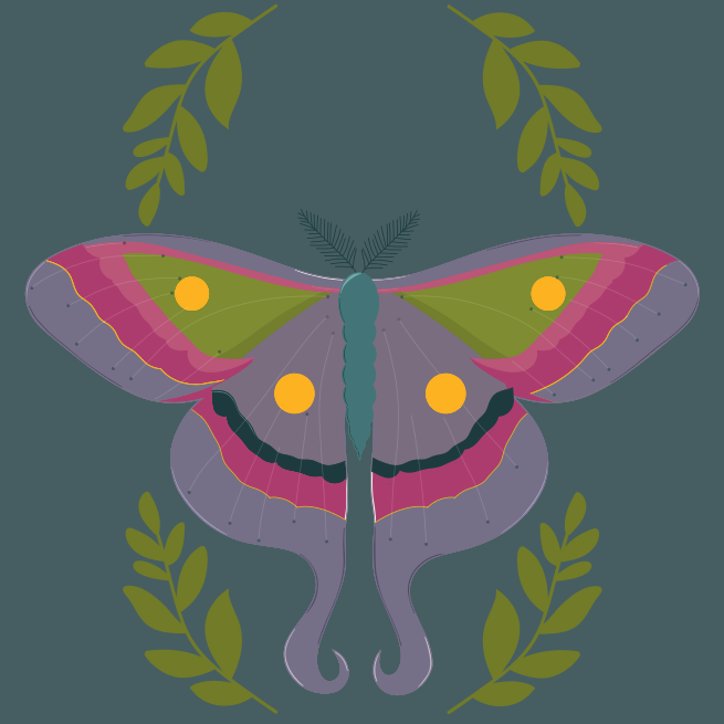 A colorful butterfly with yellow eyes on a blue background