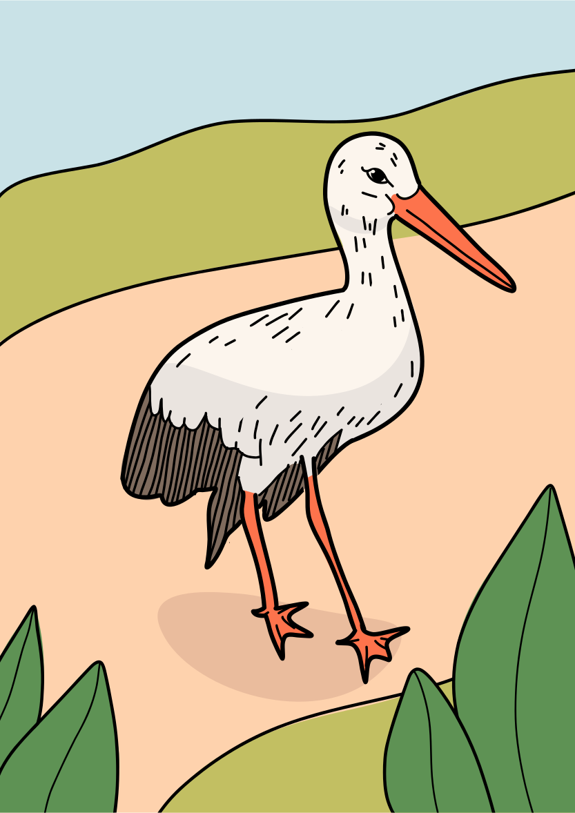 A cartoon of a stork standing on a beach