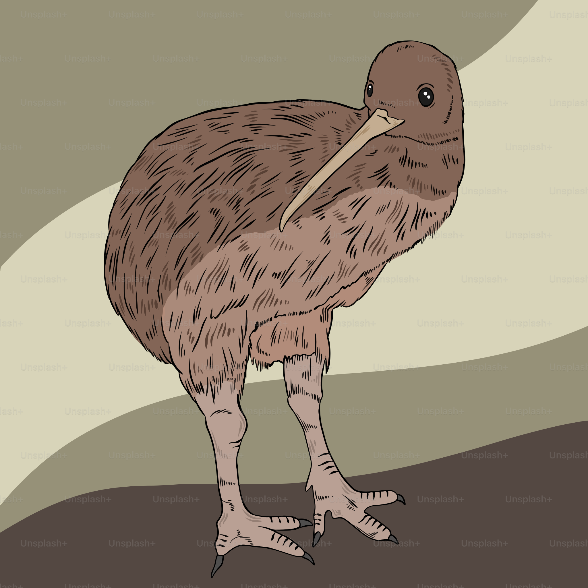 A drawing of a bird with a long beak