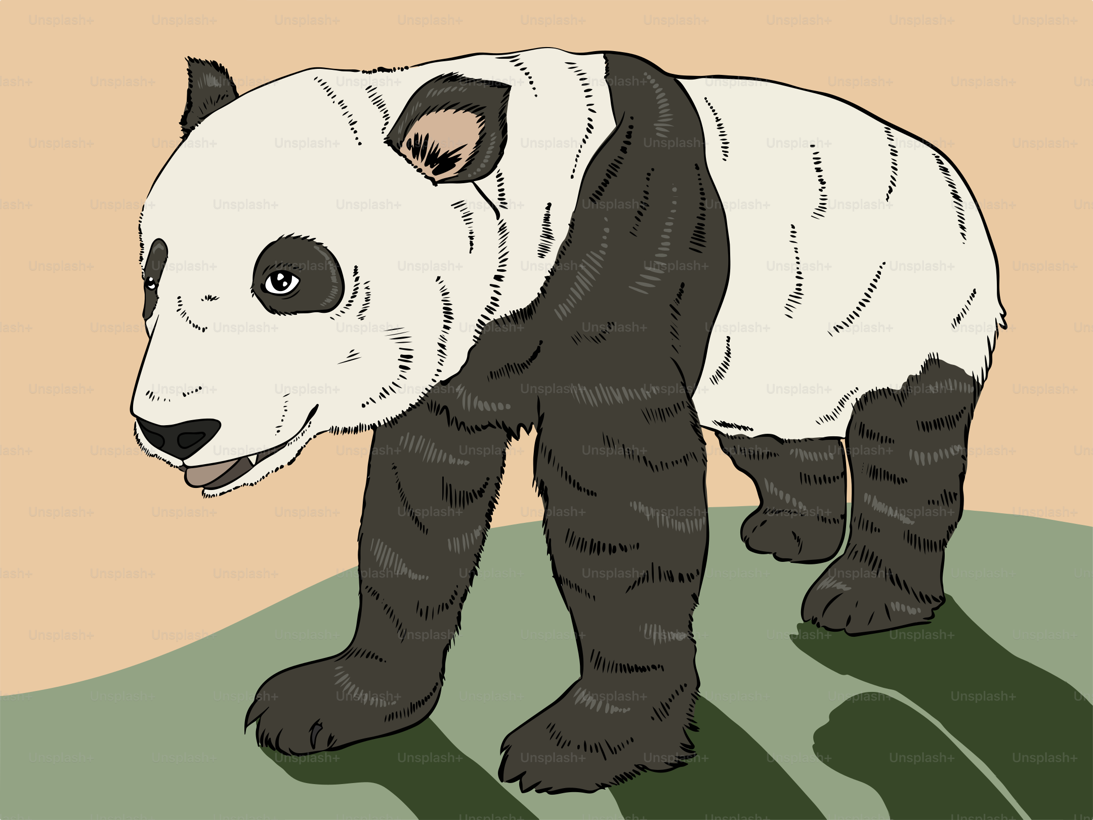 A drawing of a panda bear standing on the ground
