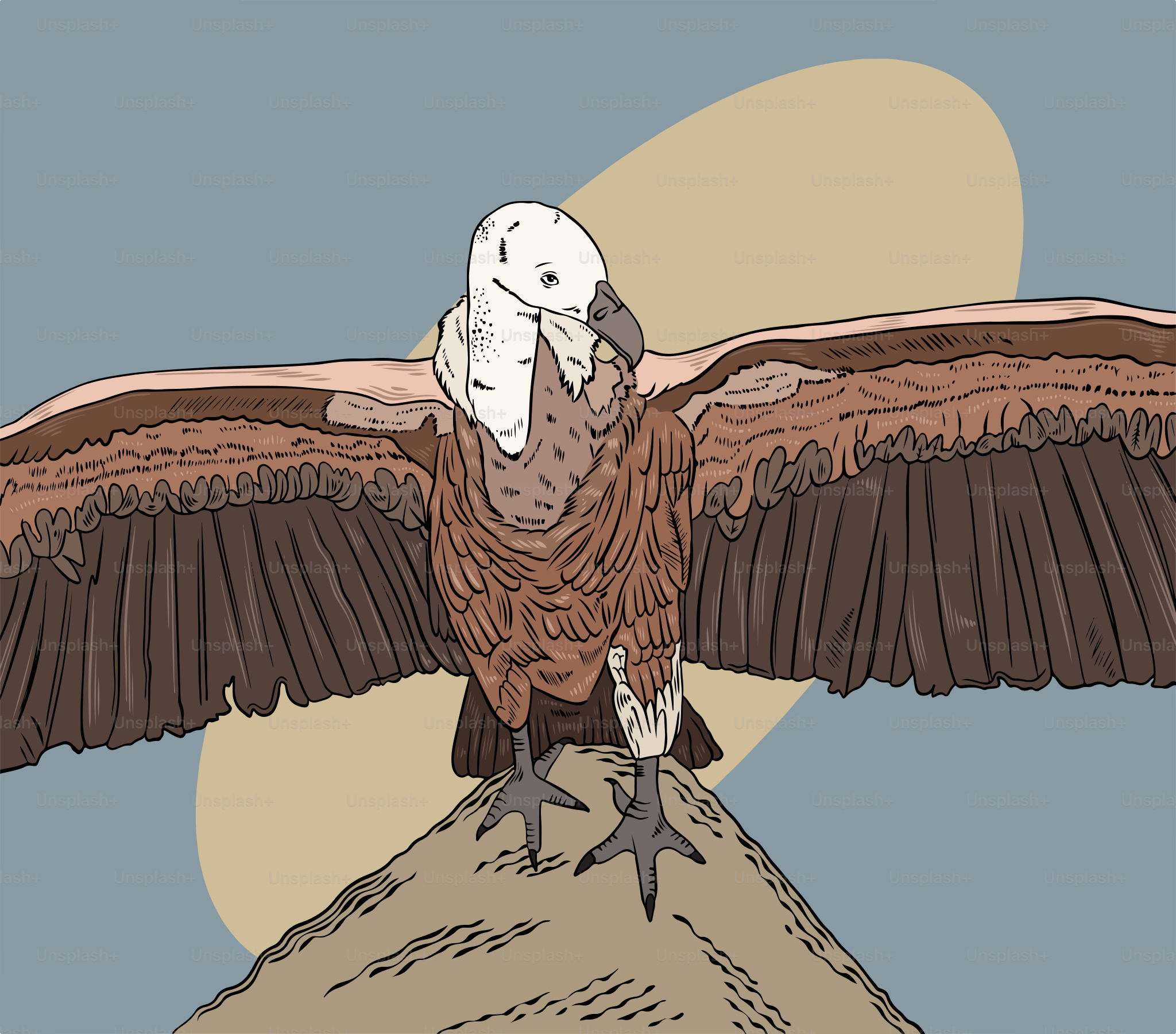 Un dessin d’un grand oiseau volant au-dessus d’une colline