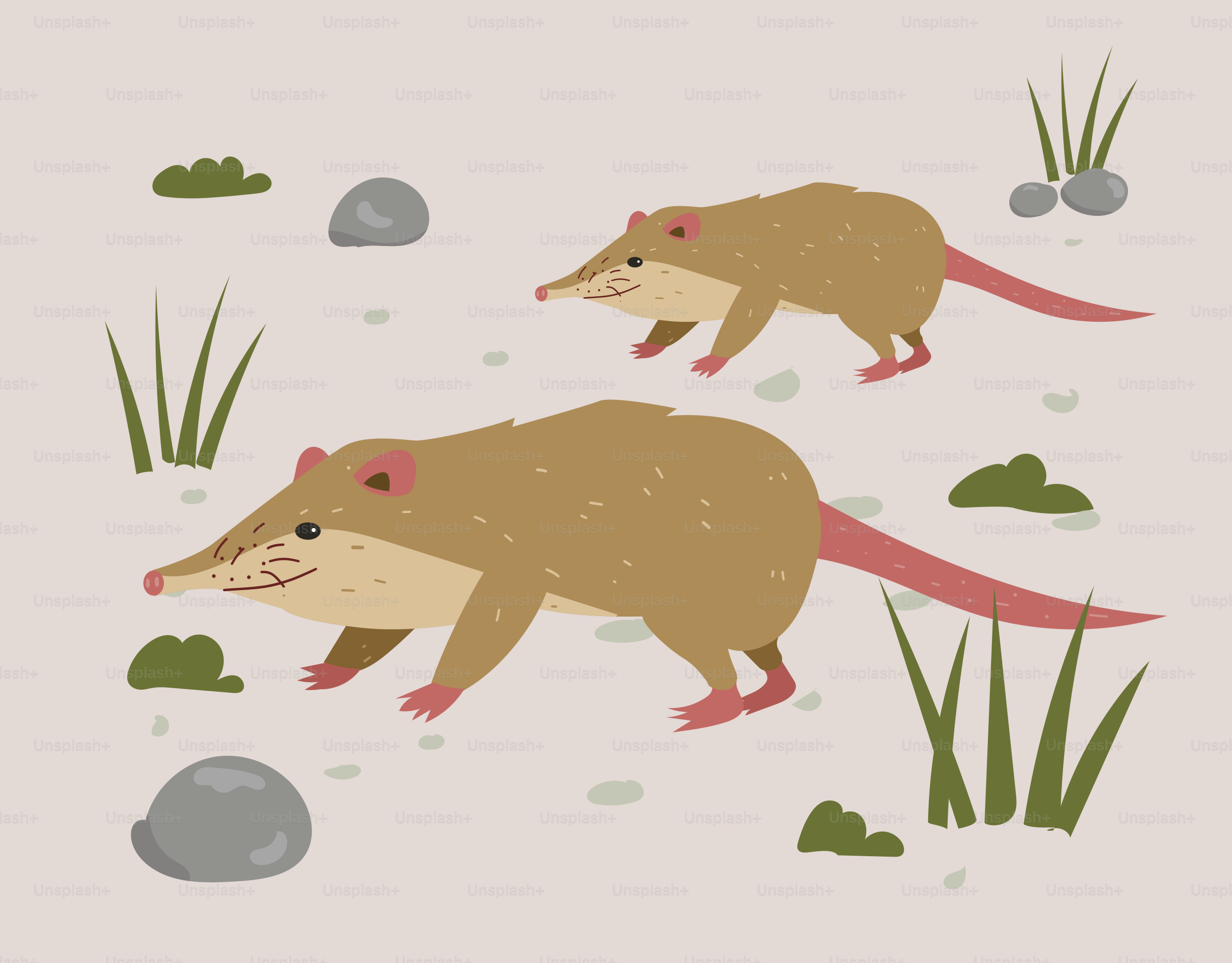 A couple of animals that are standing in the grass