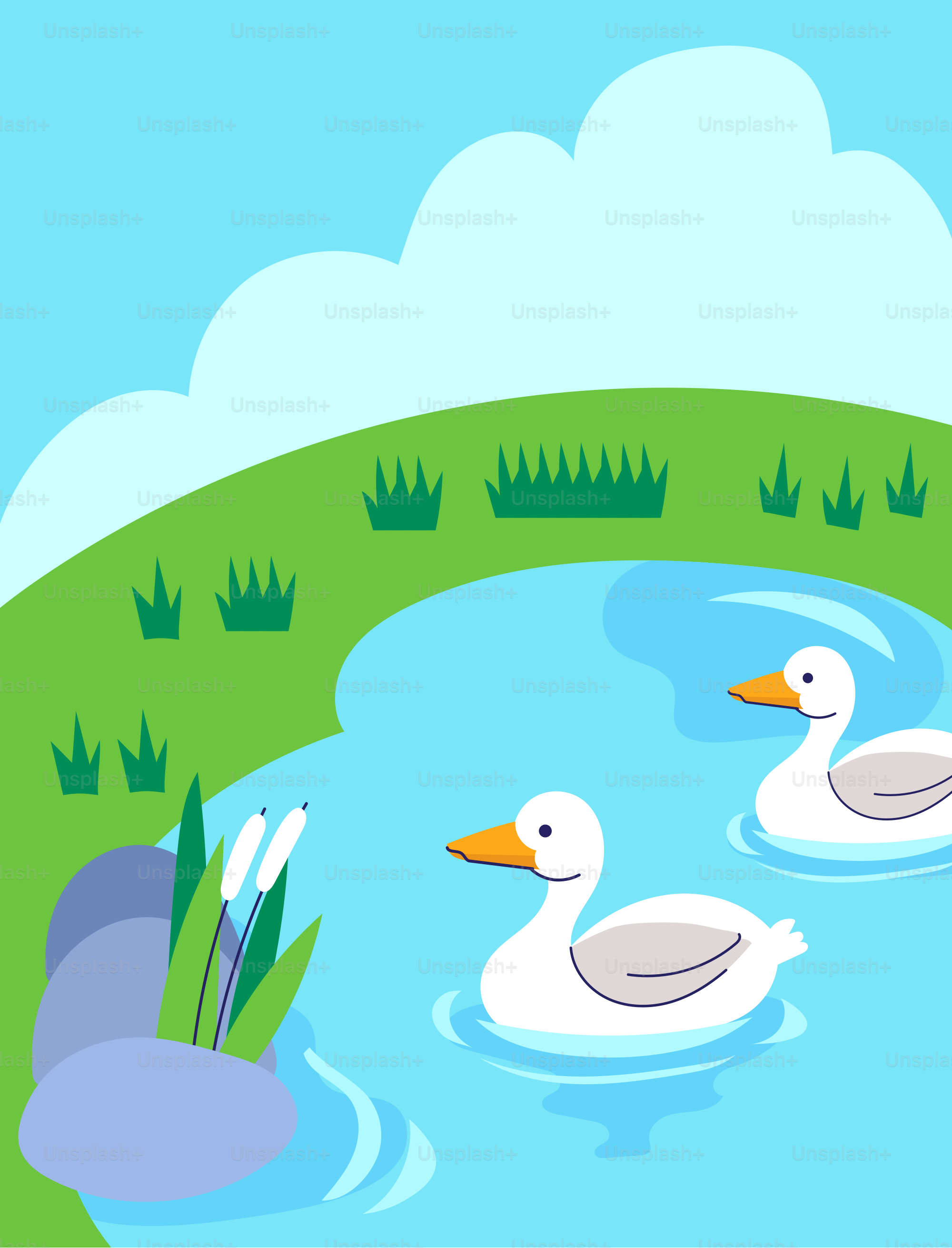 Deux canards flottant sur un lac