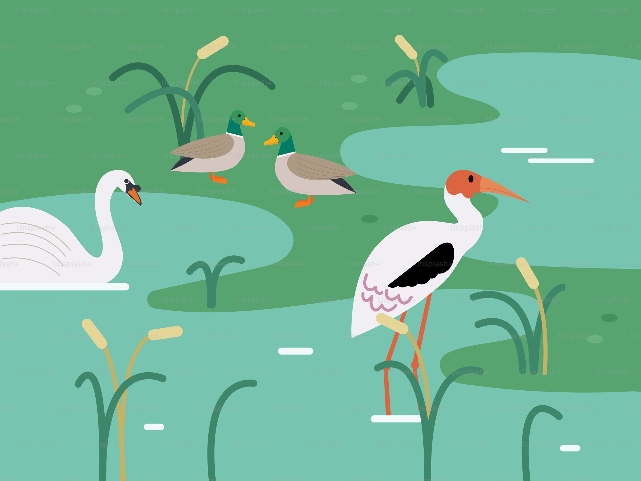 A couple of birds standing on top of a lake