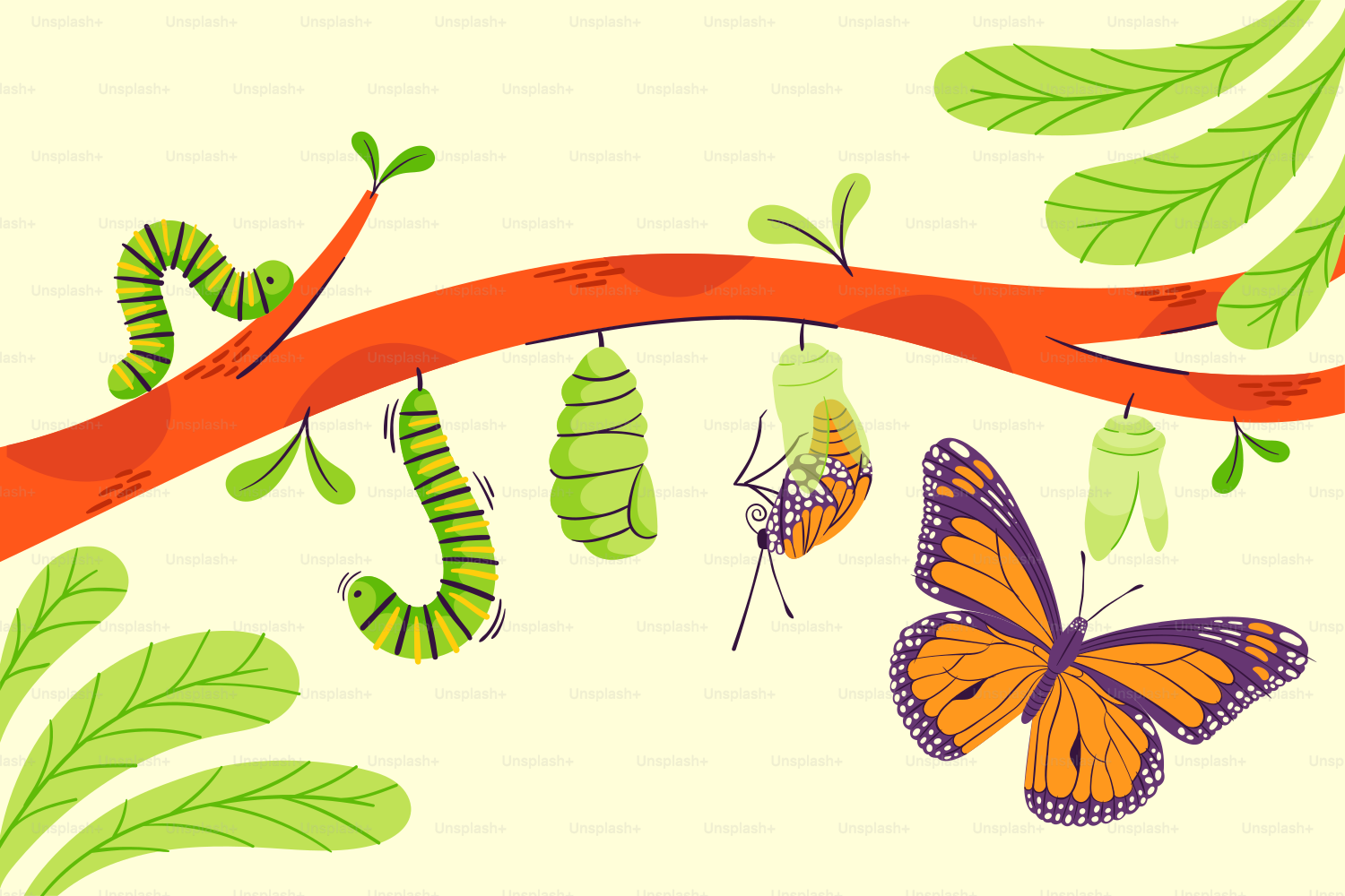 A picture of a butterfly and caterpillars on a branch