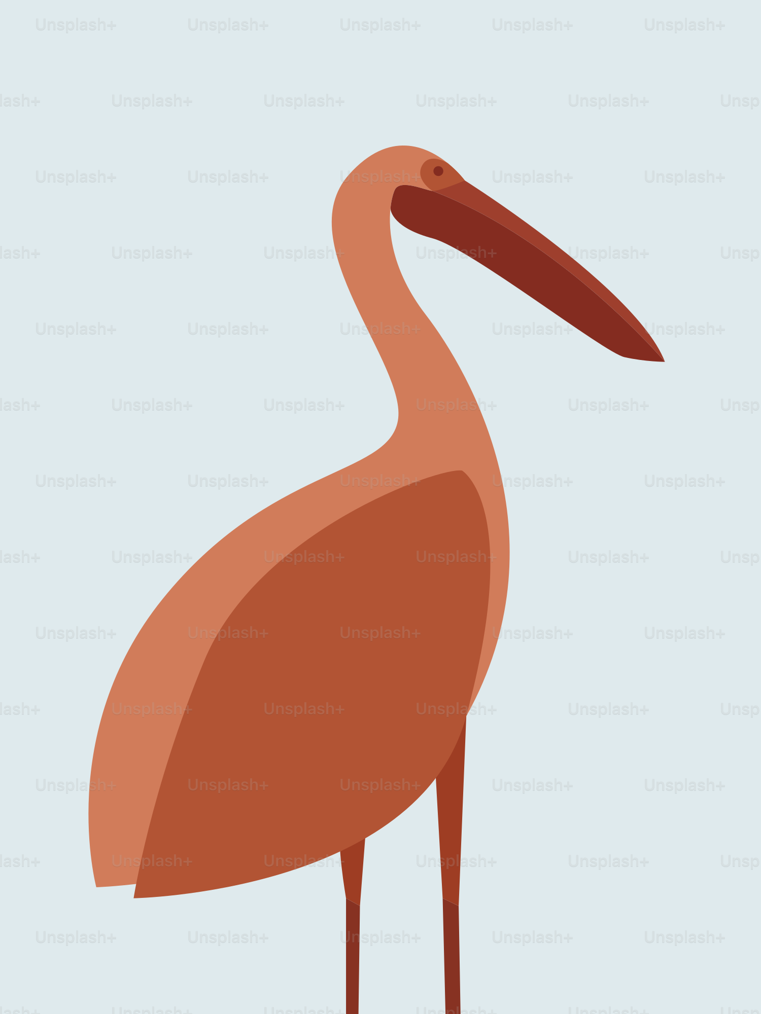 A bird with a long neck and a long beak