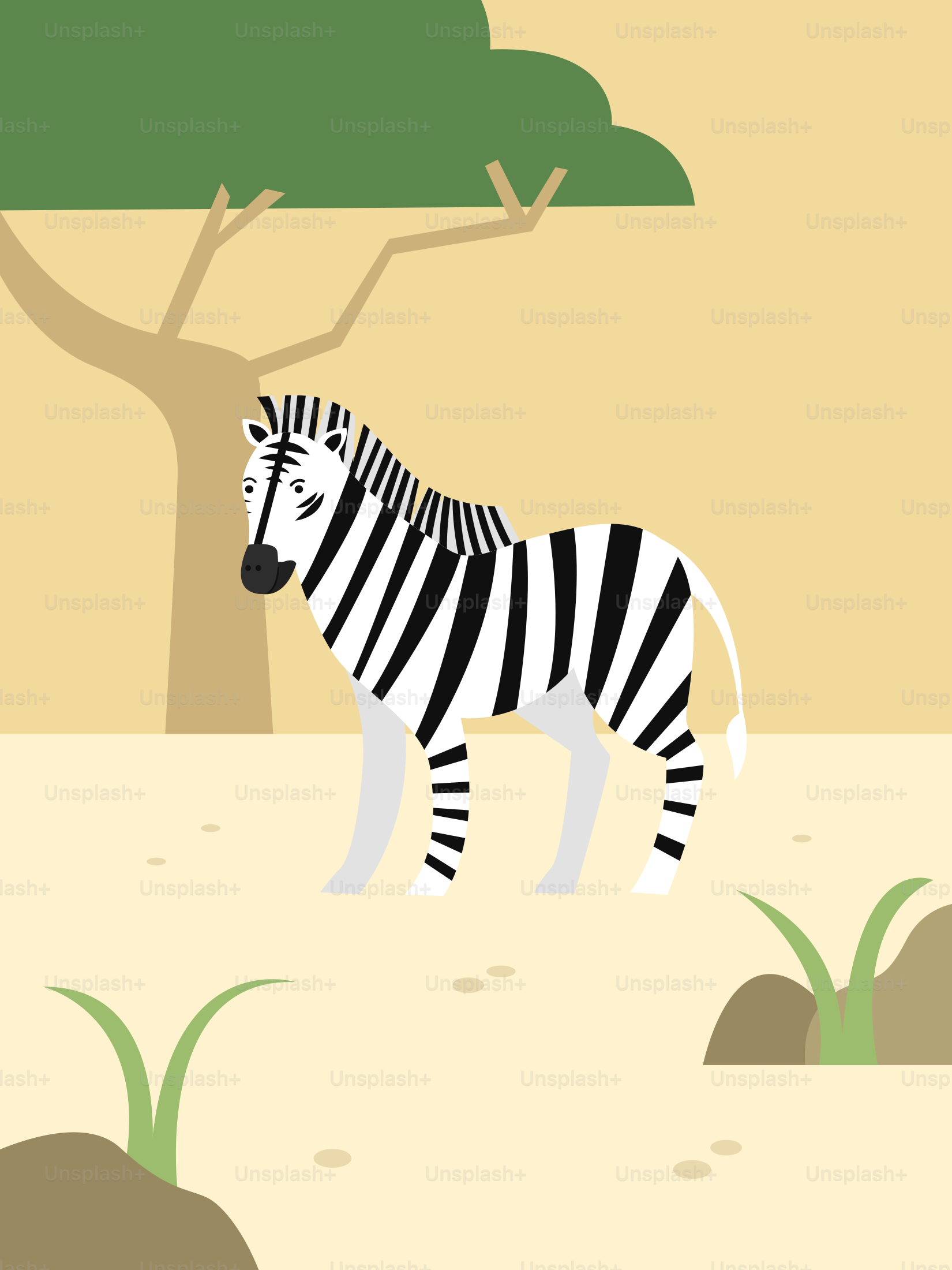 Un zèbre debout à côté d’un arbre dans un champ