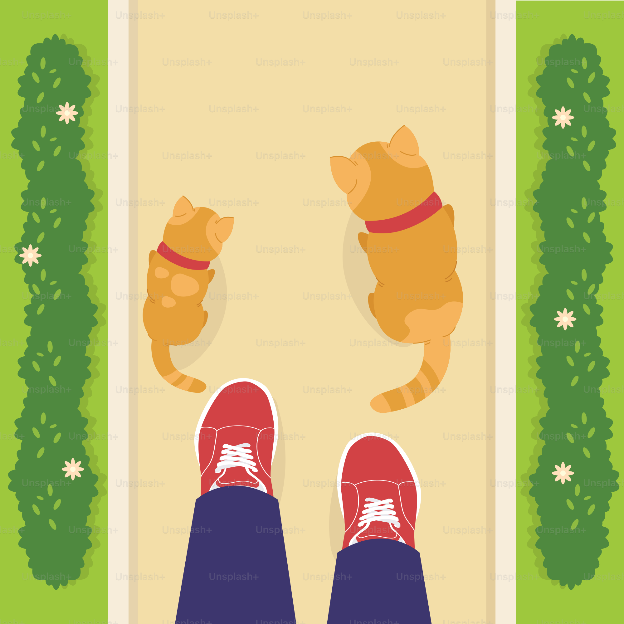 Two cats laying on the ground next to a person's feet