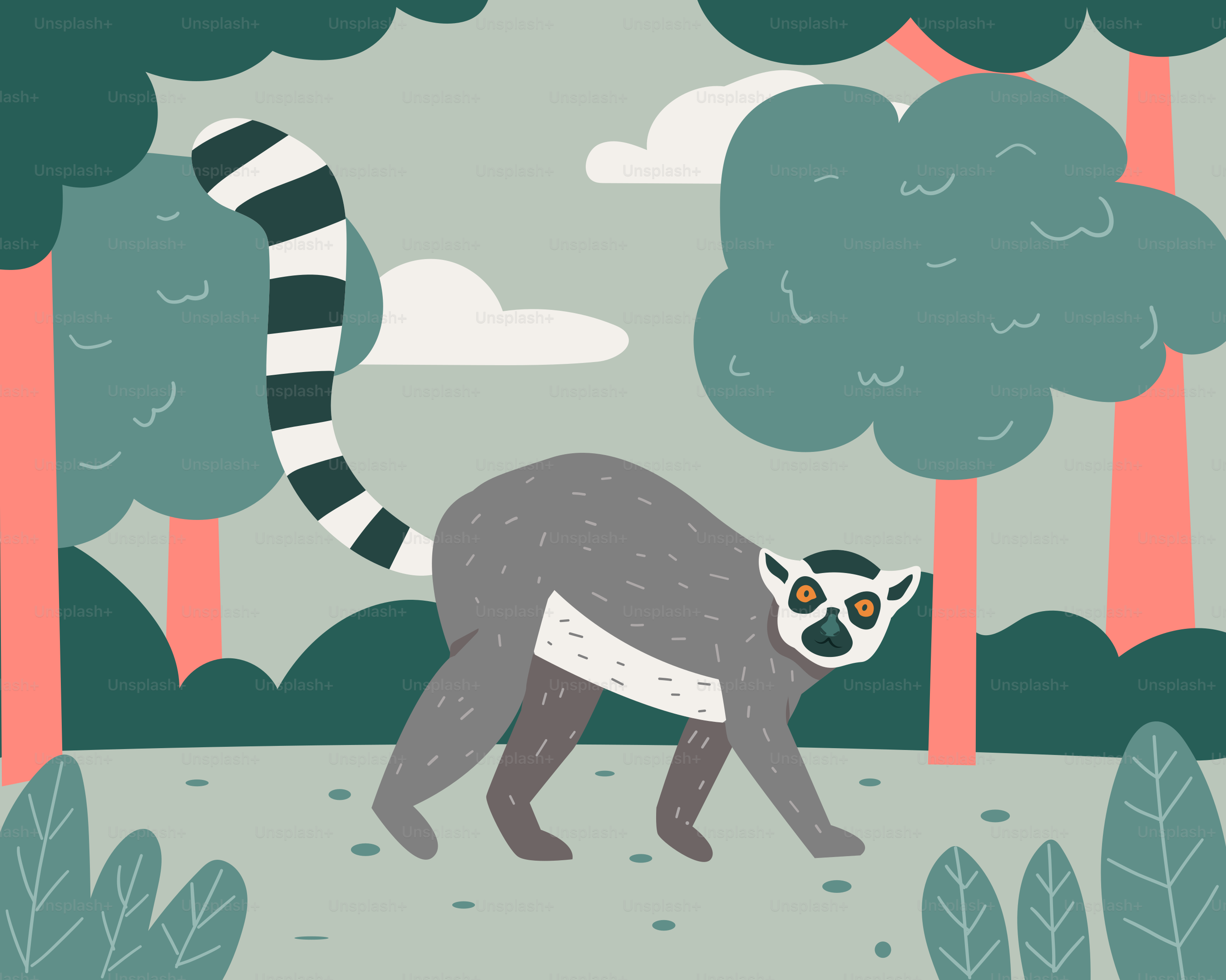 A picture of a raccoon walking in the woods