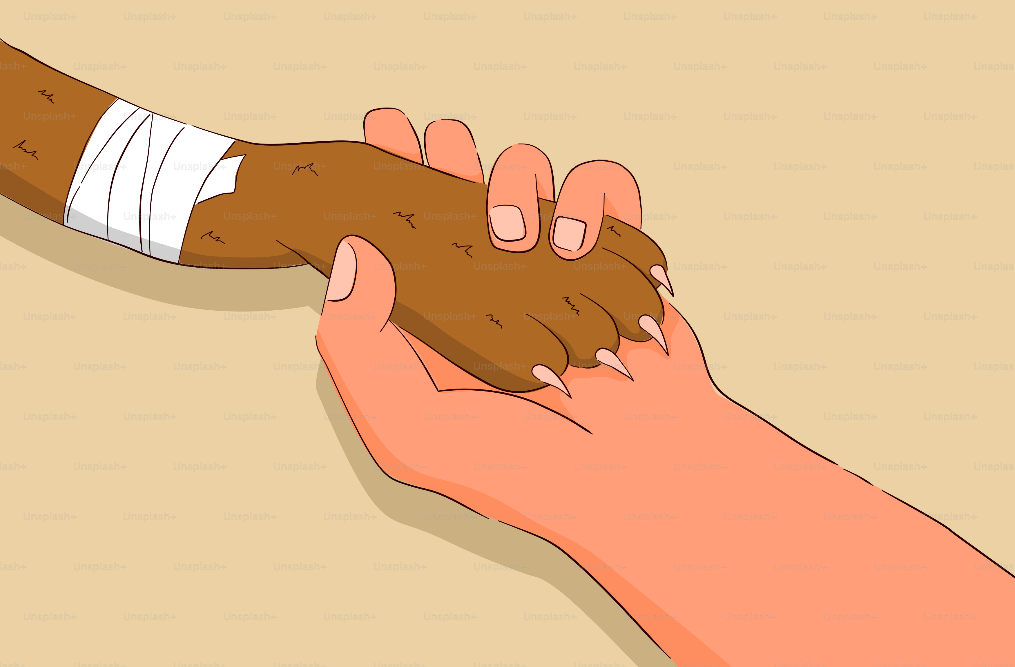A hand holding a piece of bread with a bandage on it