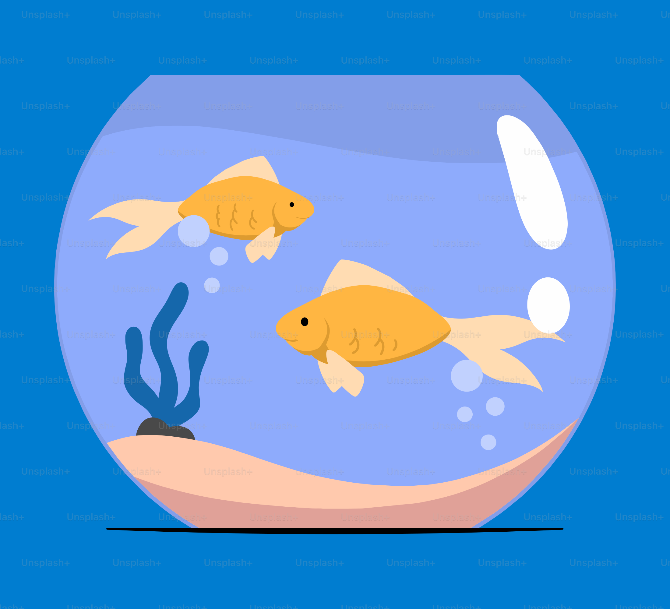 Two goldfish swimming in a fish bowl