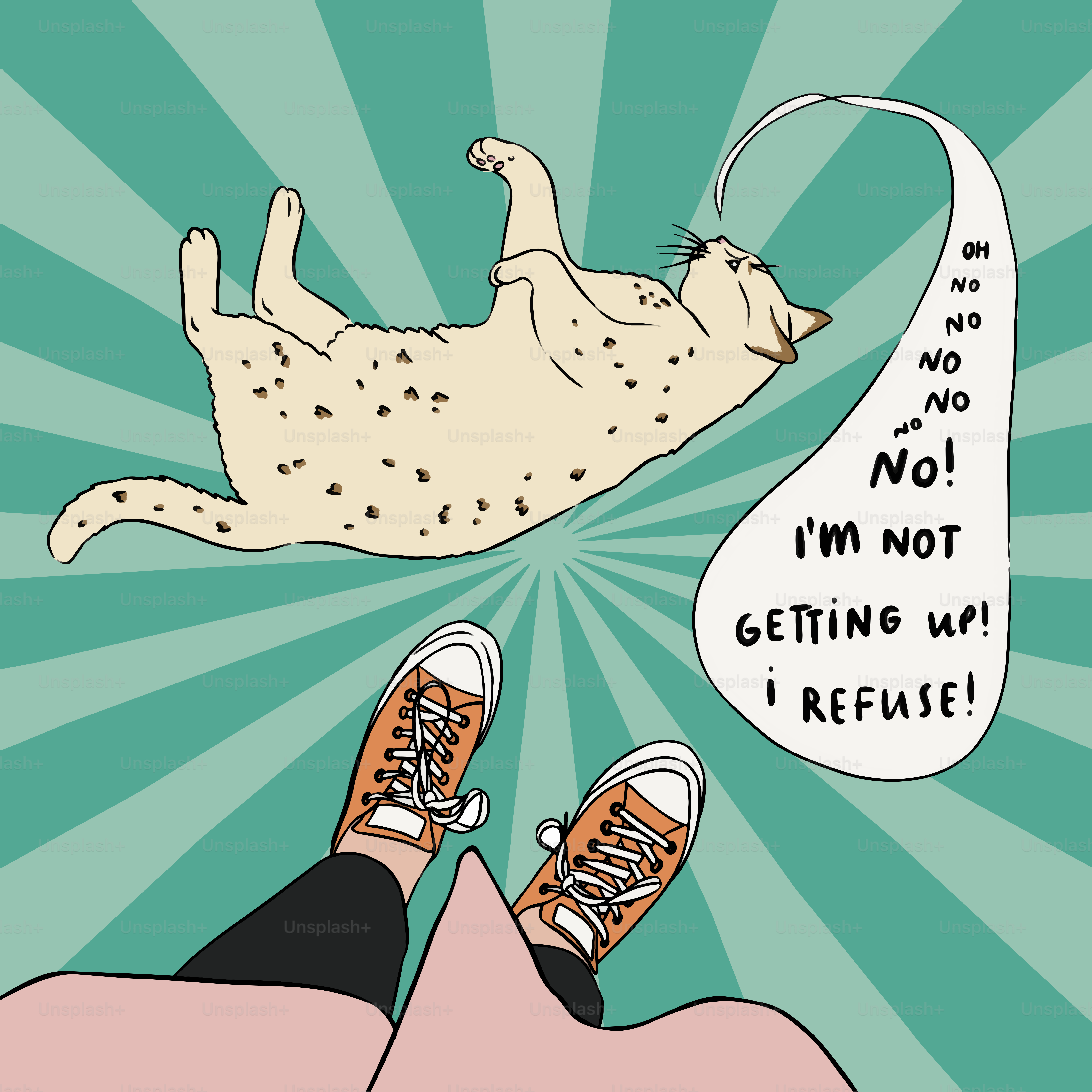 人の足の上に横たわる猫