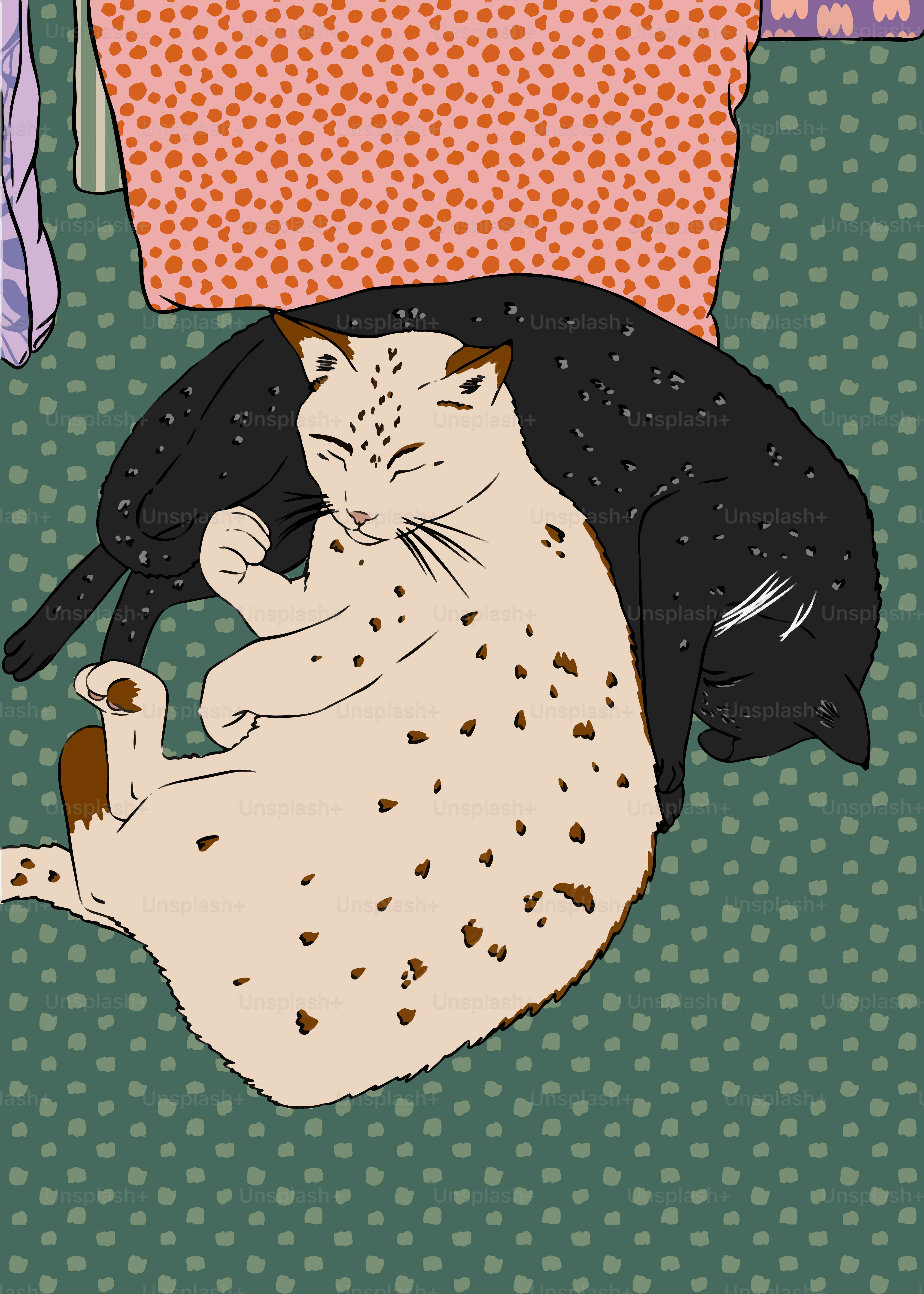 A couple of cats laying on top of each other