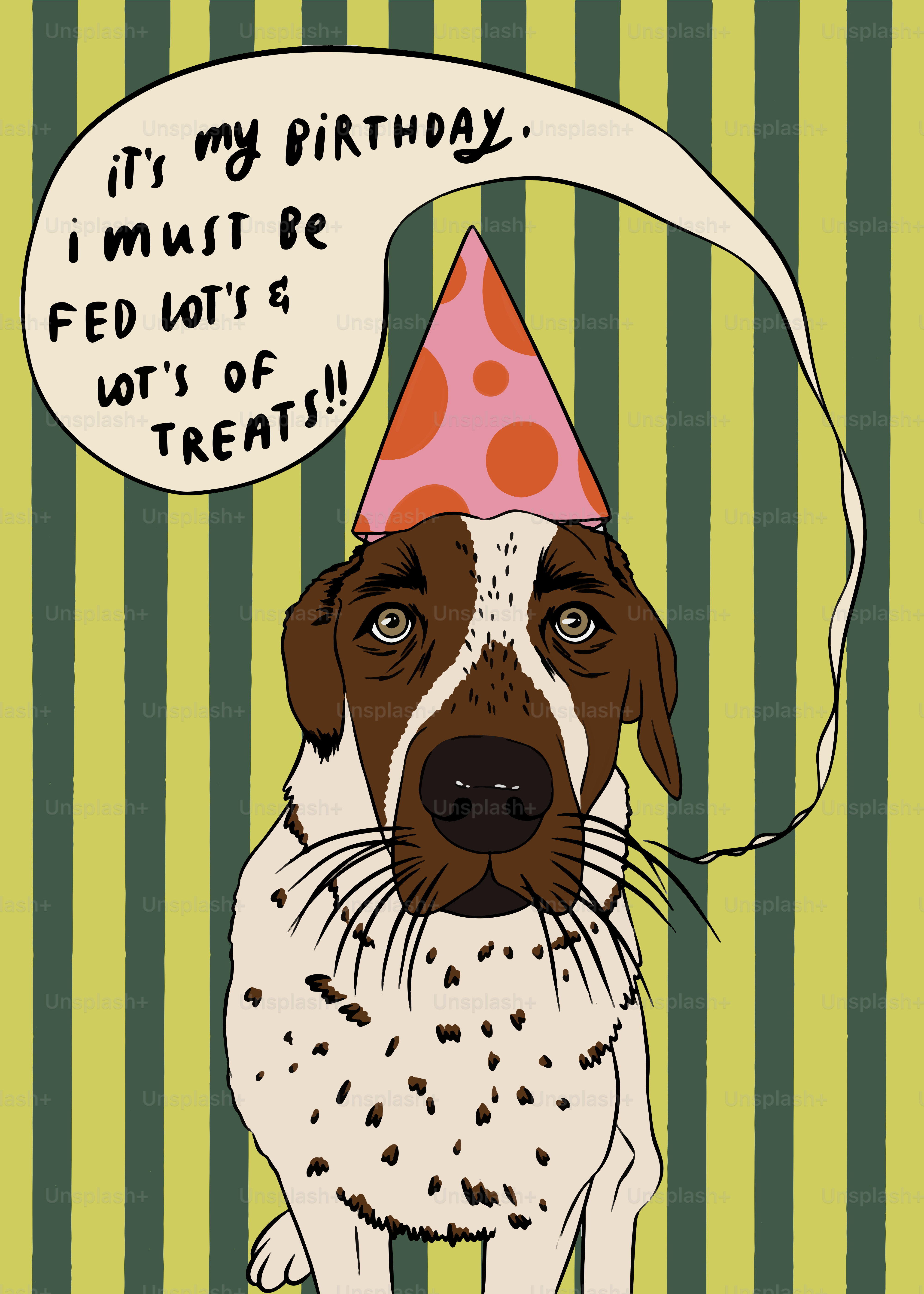 A brown and white dog wearing a birthday hat