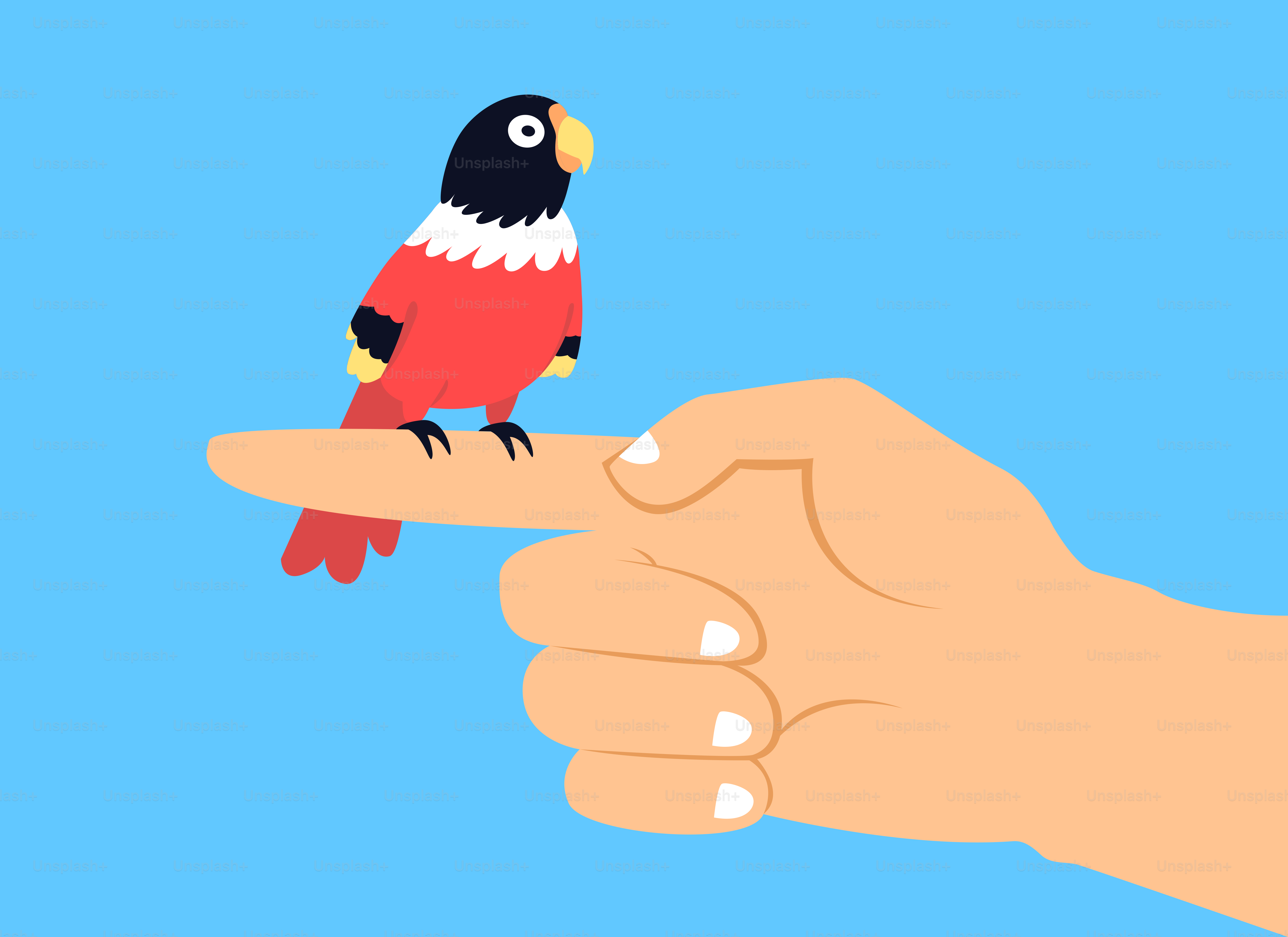A hand holding a small bird on top of a finger