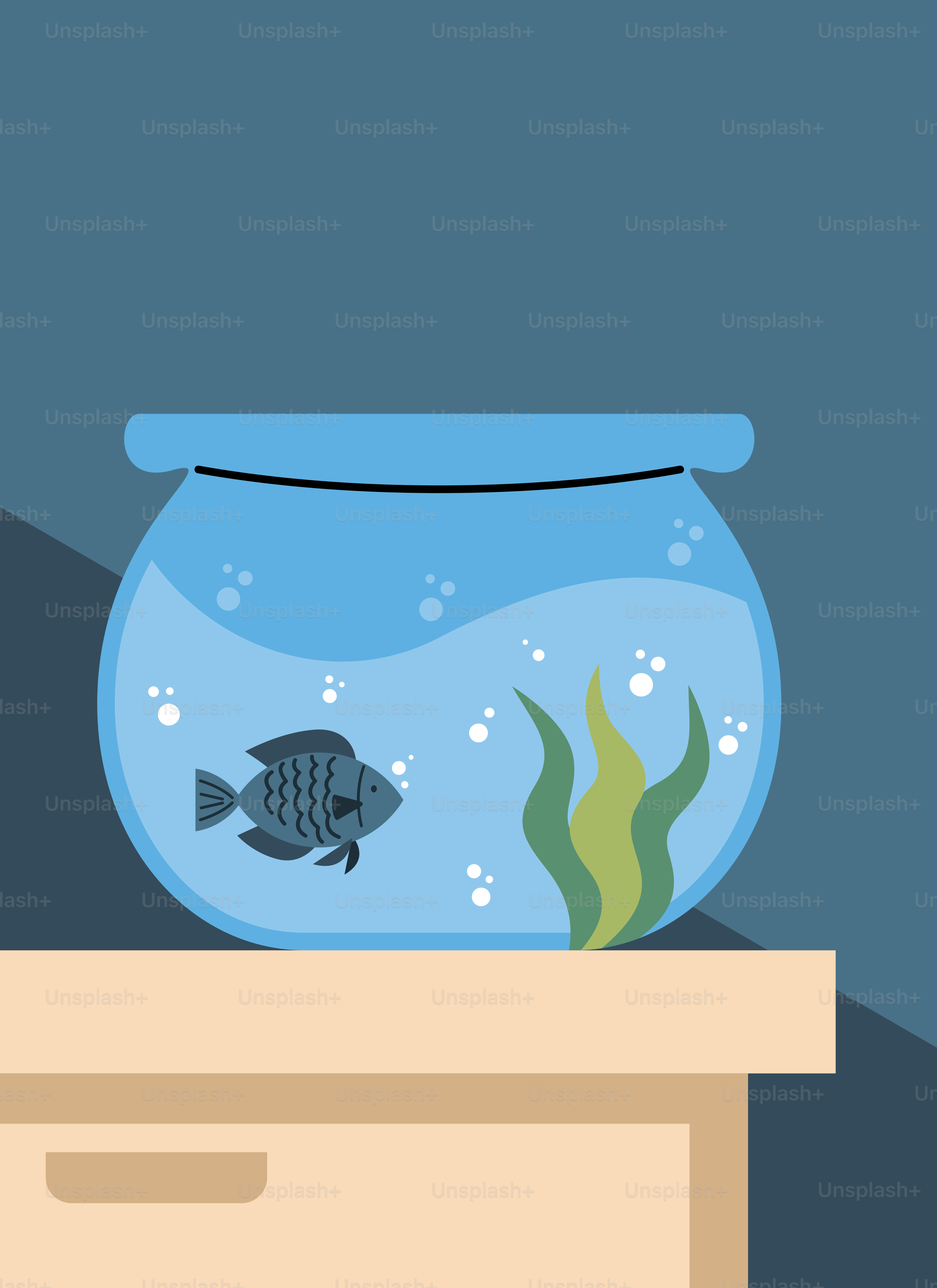 A fish in a bowl sitting on top of a box