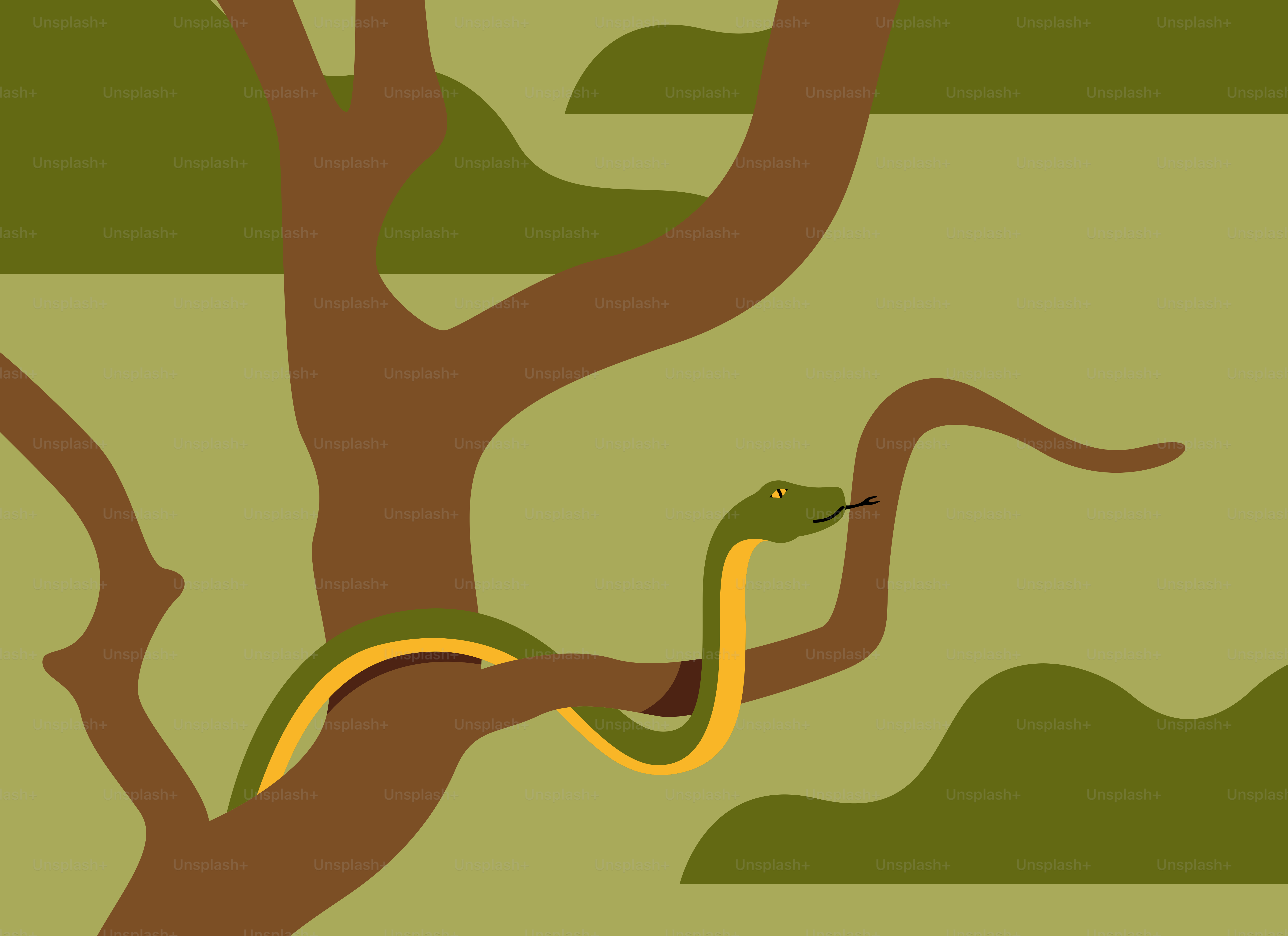 A tree with a snake on it vector – Snake Image on Unsplash
