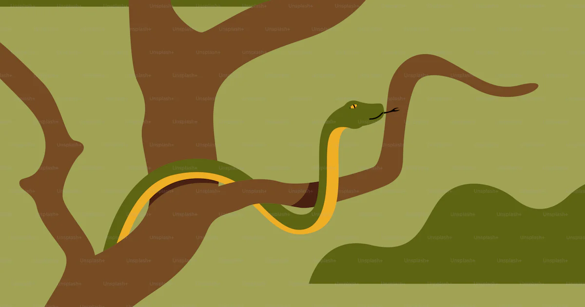 A tree with a snake on it vector – Snake Image on Unsplash