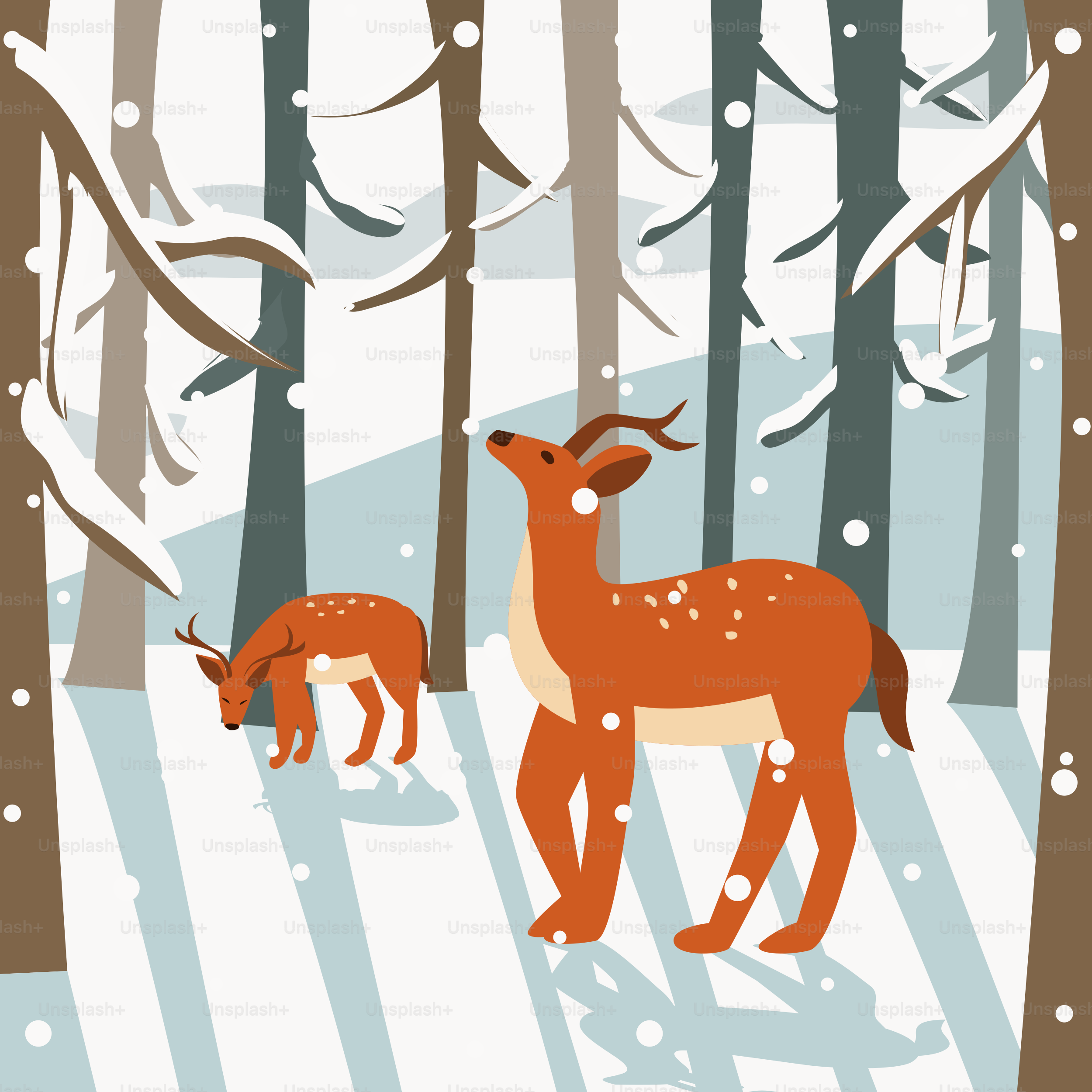 A couple of deer standing next to each other in a forest