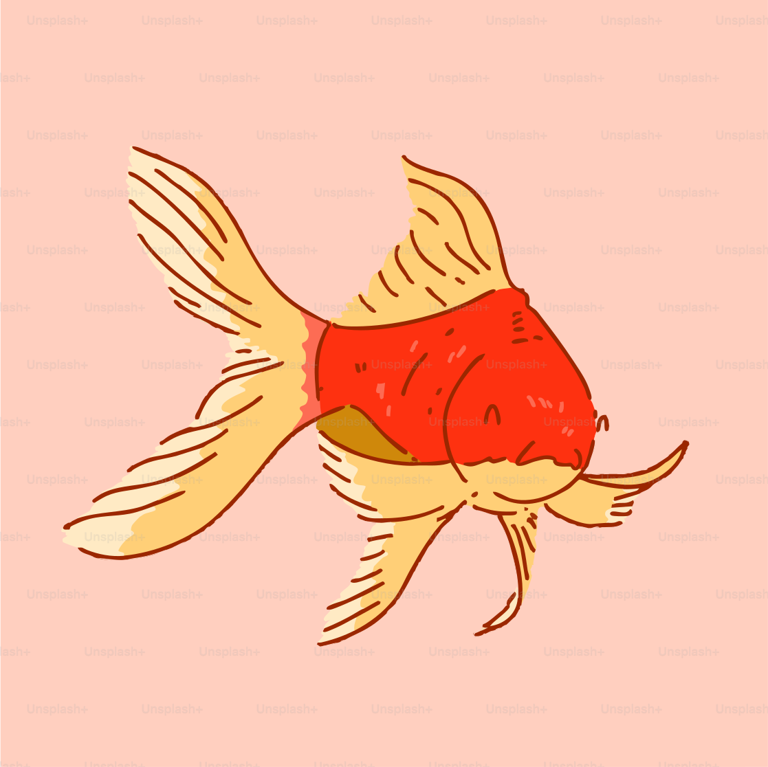 A goldfish with a red body and yellow tail