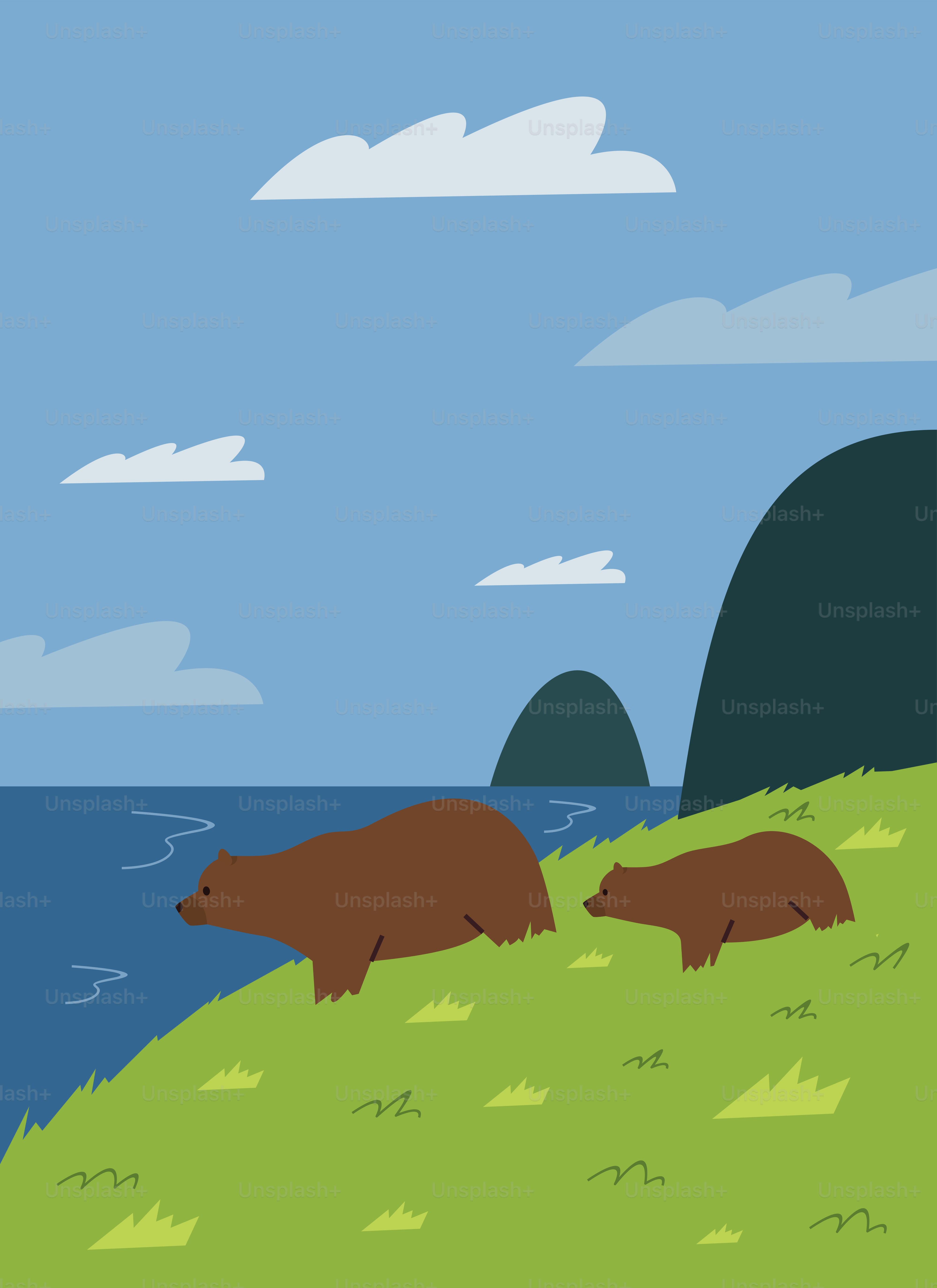 A couple of bears walking across a lush green field