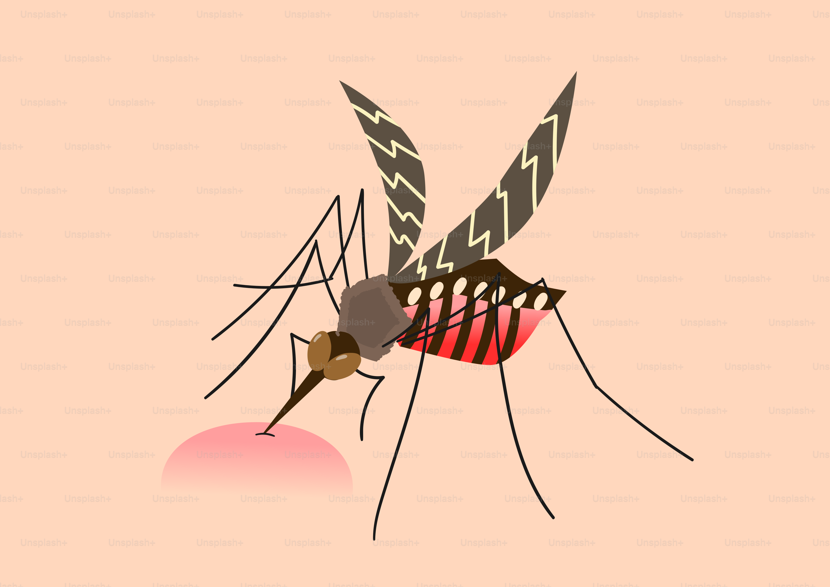 A picture of a mosquito on a pink background