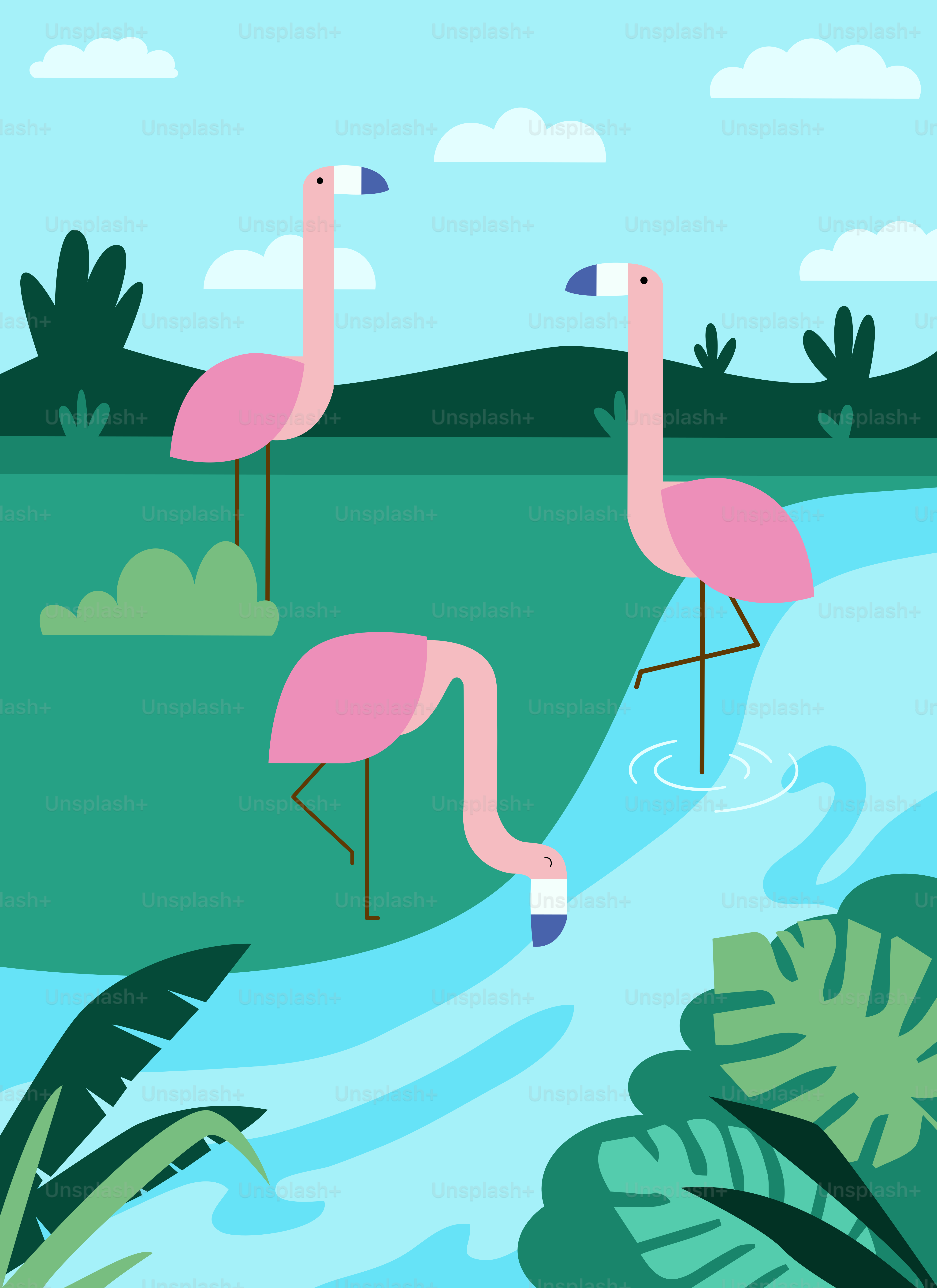 Three pink flamingos are standing in the water