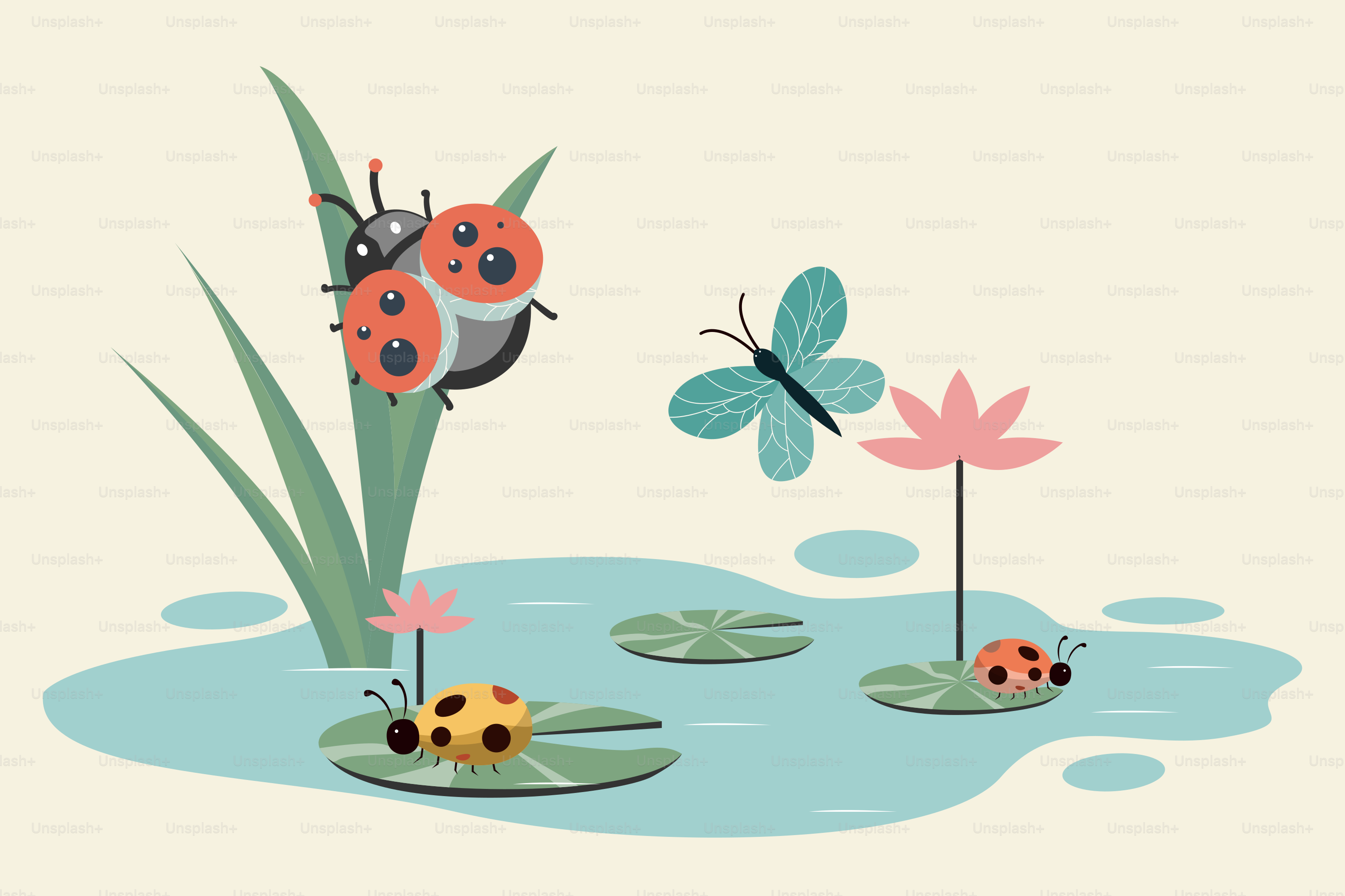 A couple of ladybugs sitting on top of lily pads