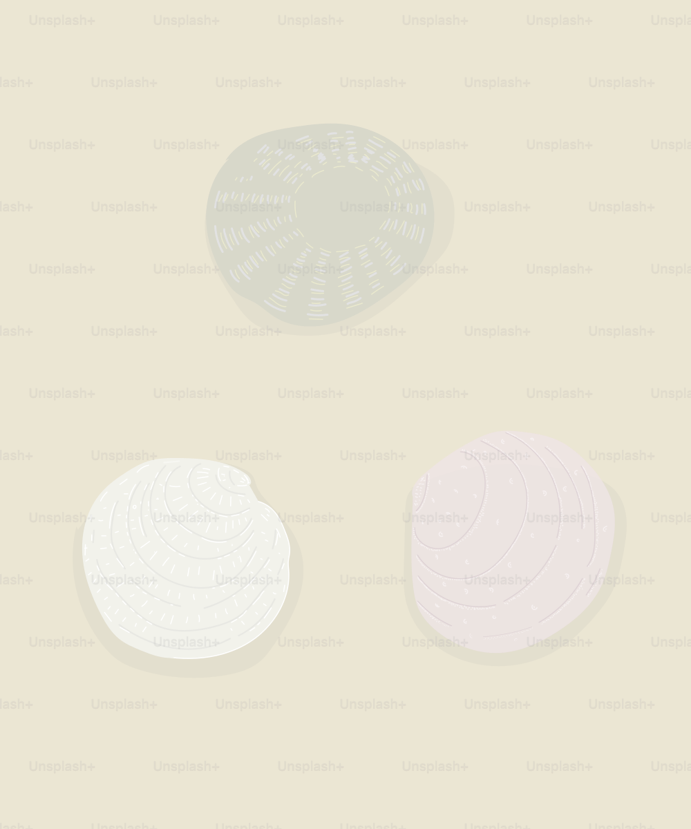 A group of three white plates sitting on top of a table