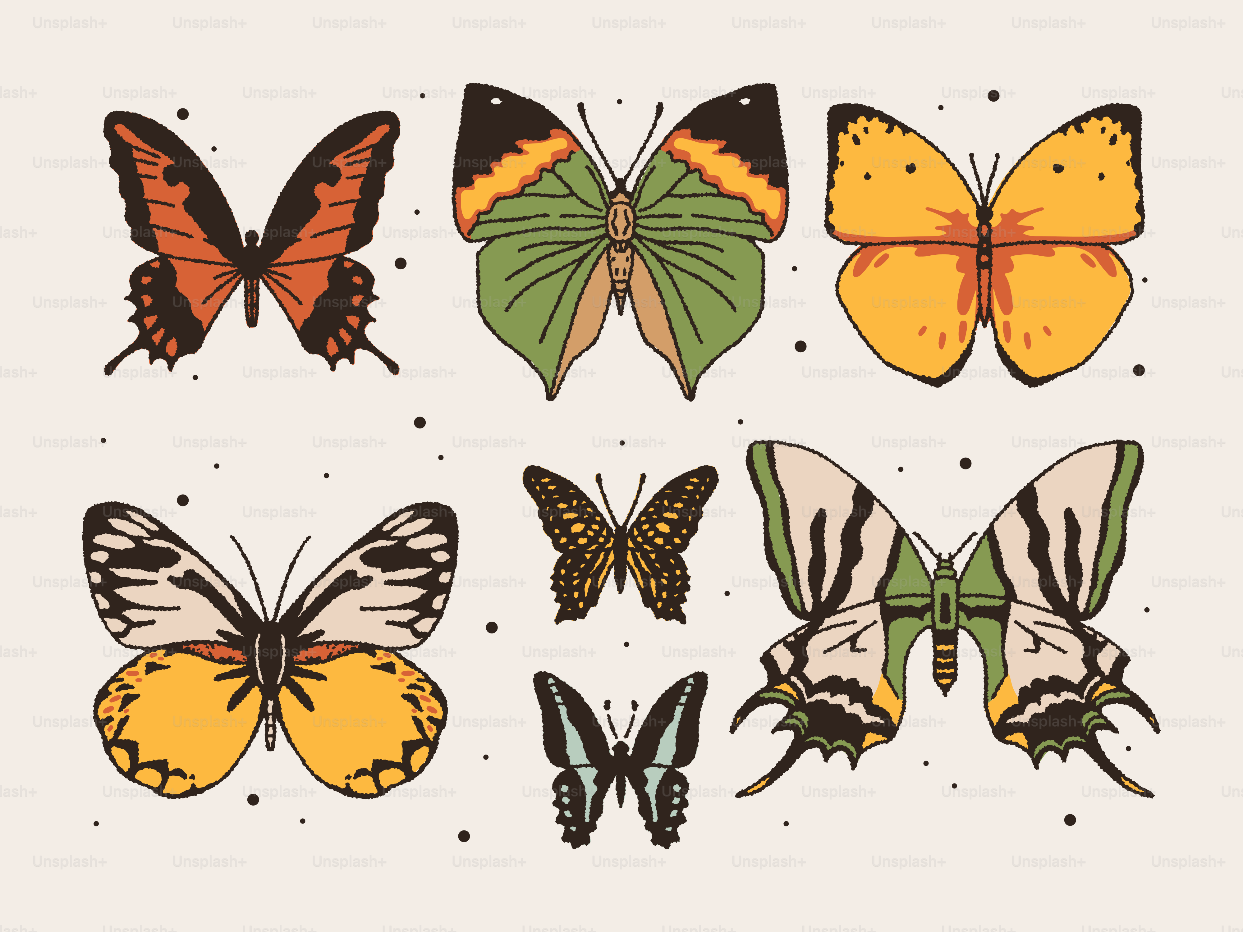 A group of butterflies sitting on top of each other