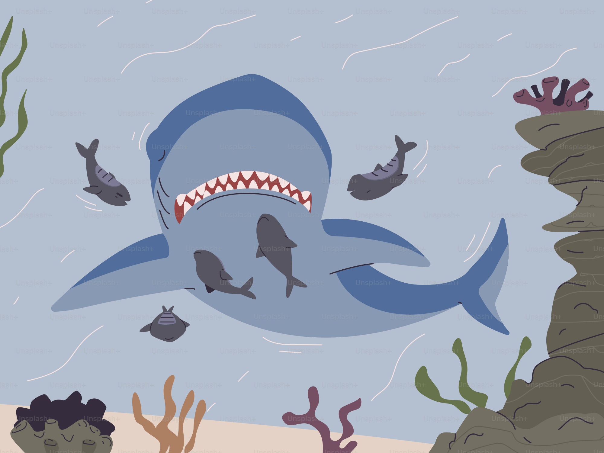 A drawing of a shark with its mouth open