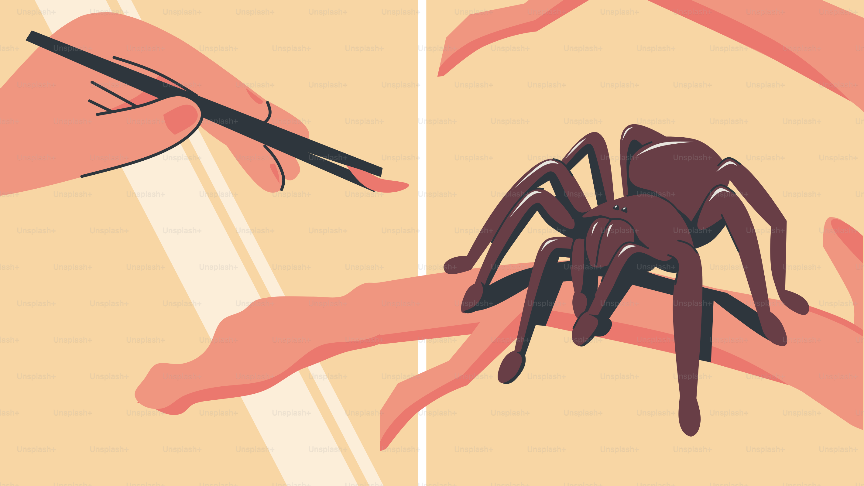 A hand holding a pencil and drawing a spider
