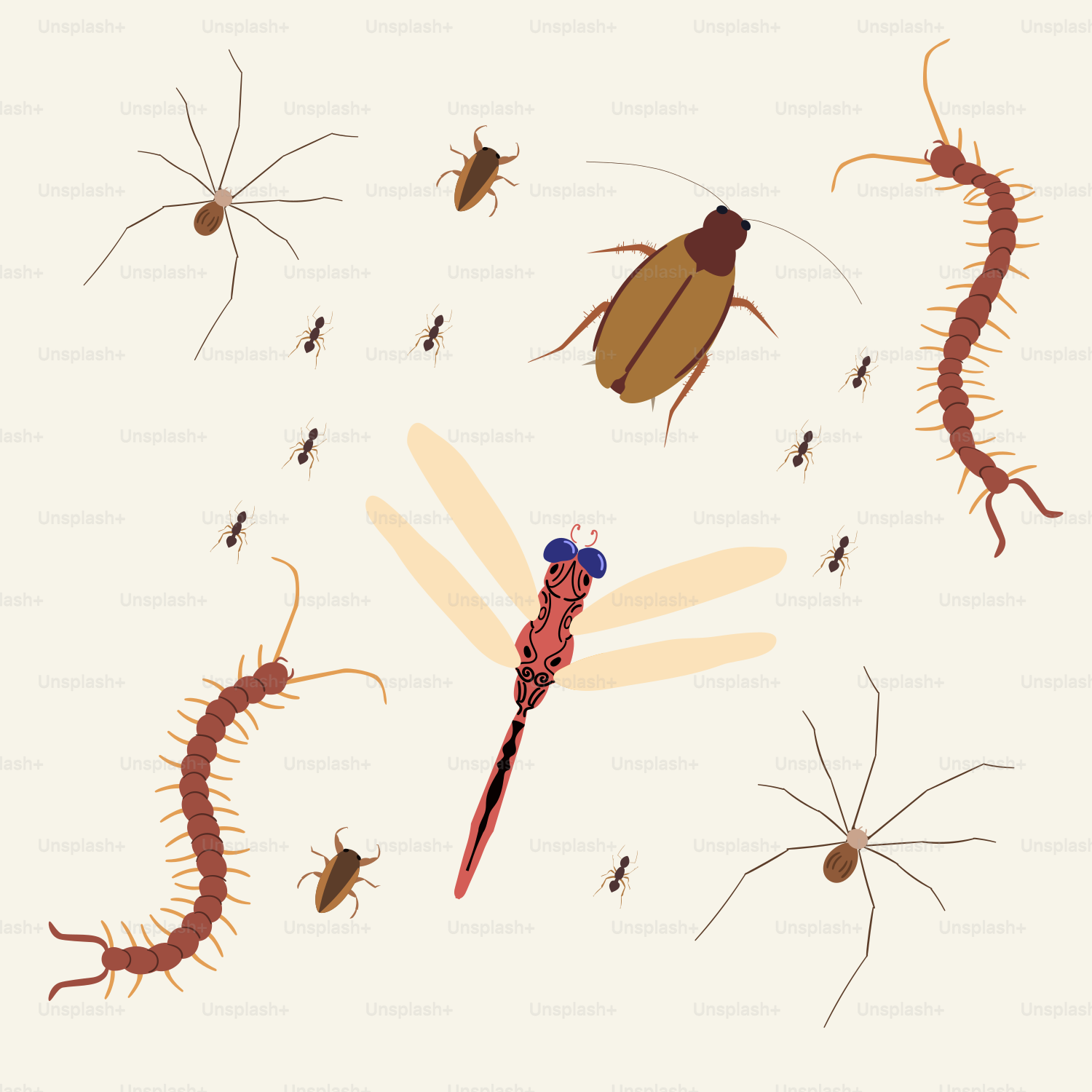 Un groupe de bogues et un bogue sur fond blanc