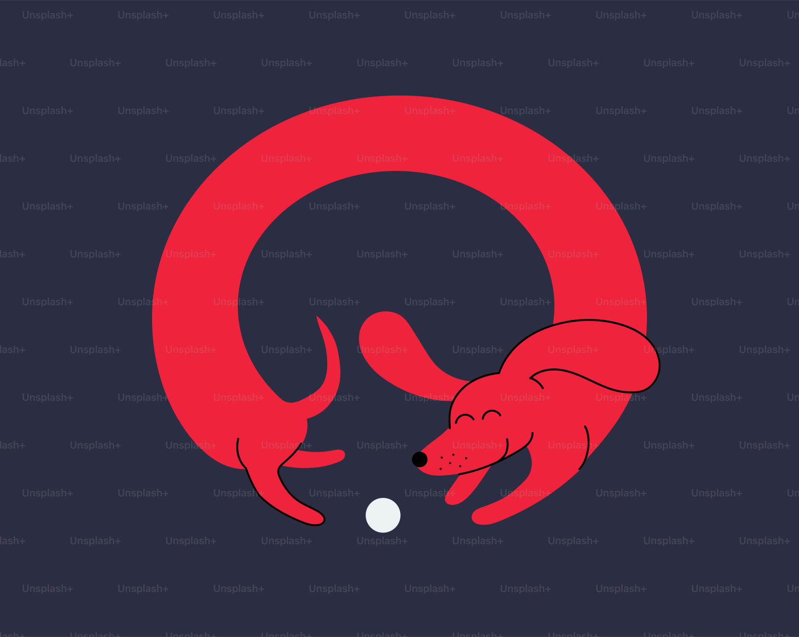 A dog and a cat playing with a ball