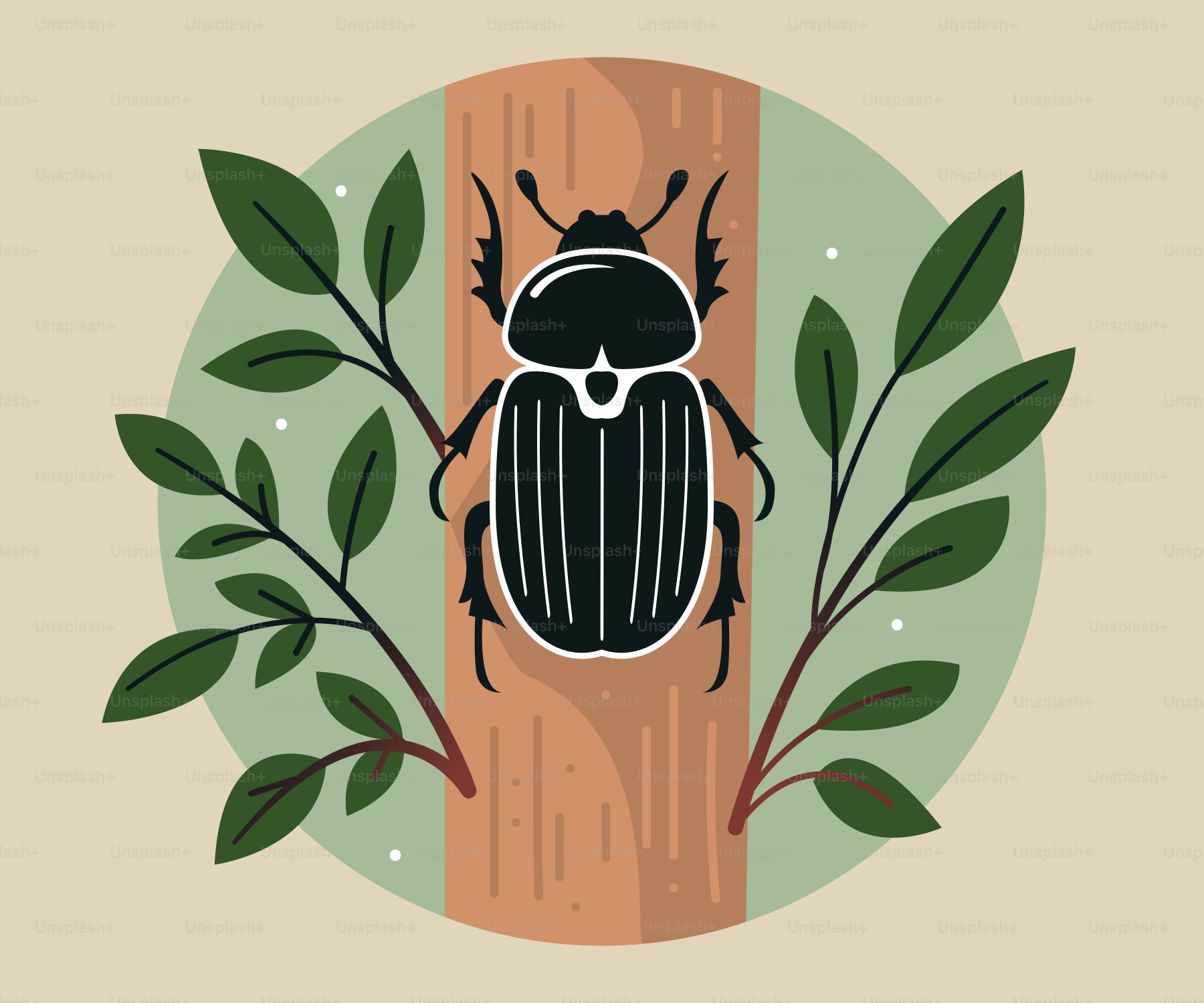 A picture of a bug on a tree vector – Beetle Image on Unsplash